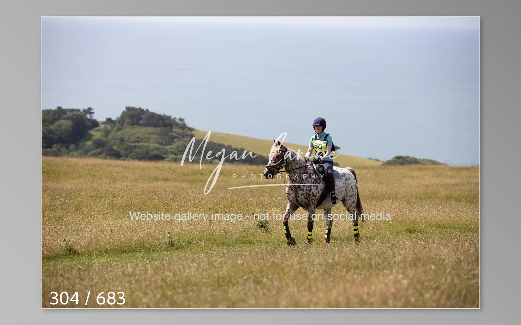Abbotsbury-304.jpg