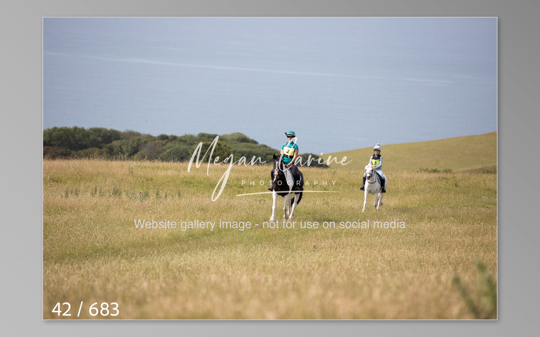 Abbotsbury-042.jpg