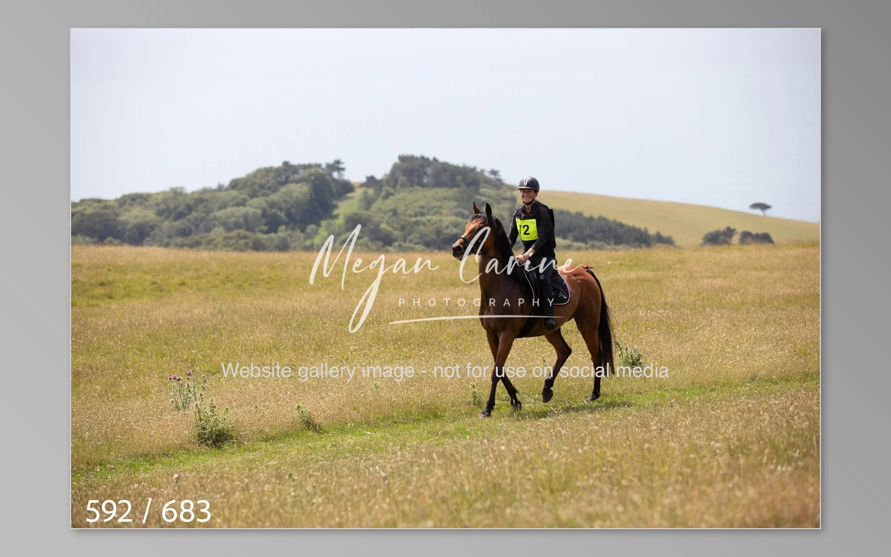 Abbotsbury-592.jpg