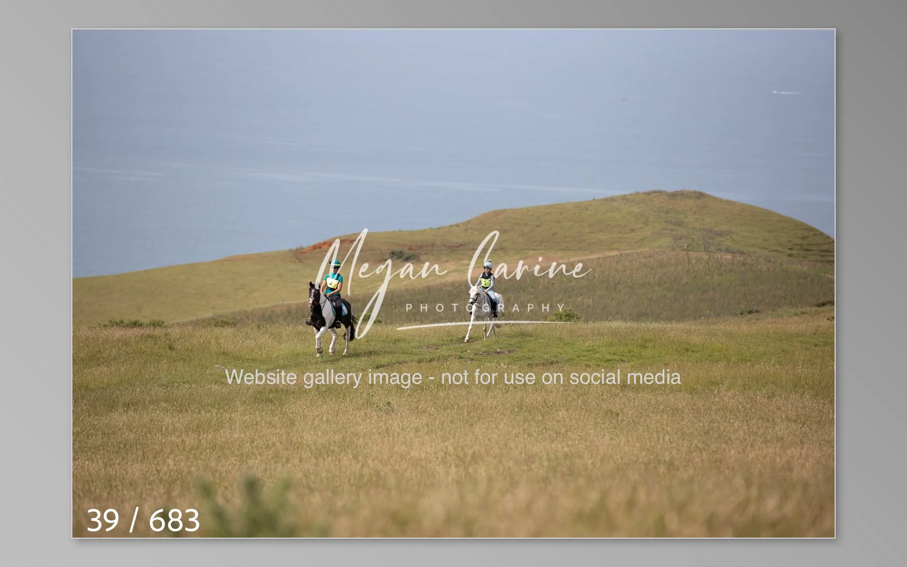 Abbotsbury-039.jpg
