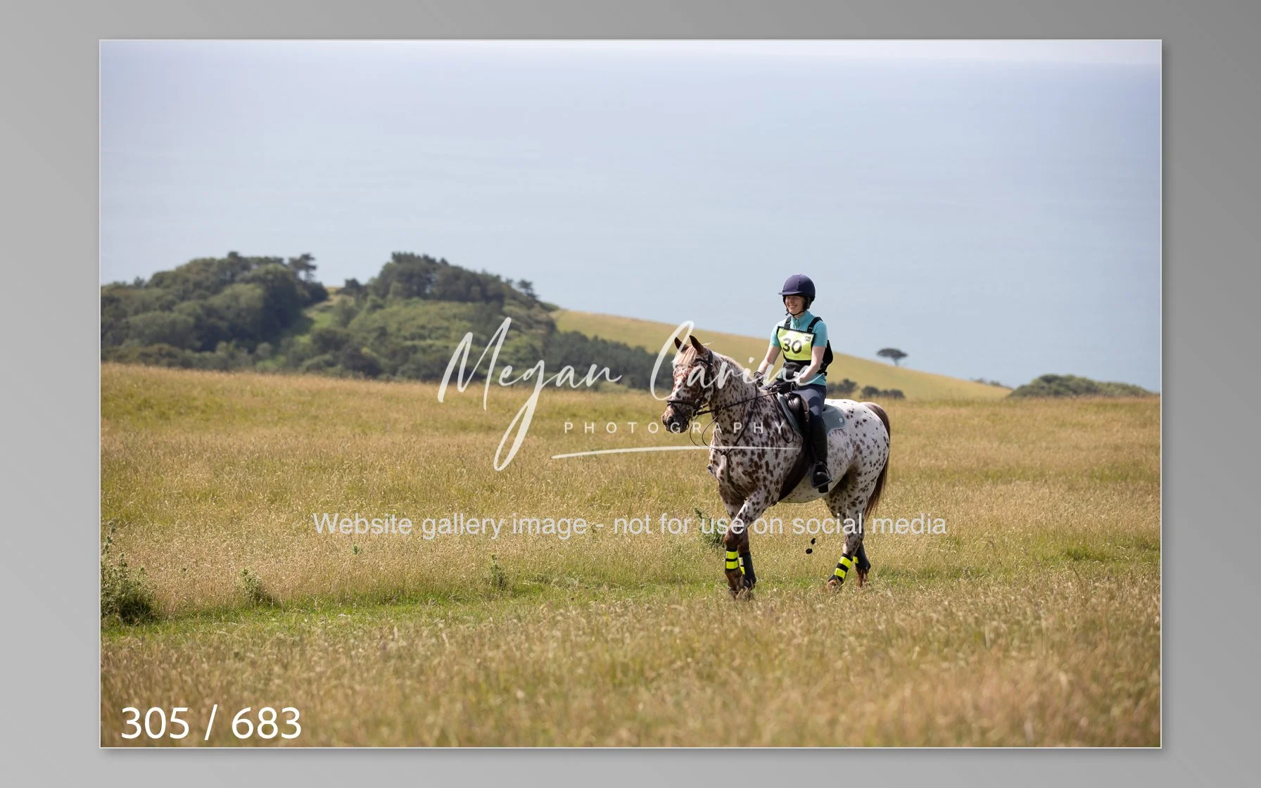 Abbotsbury-305.jpg