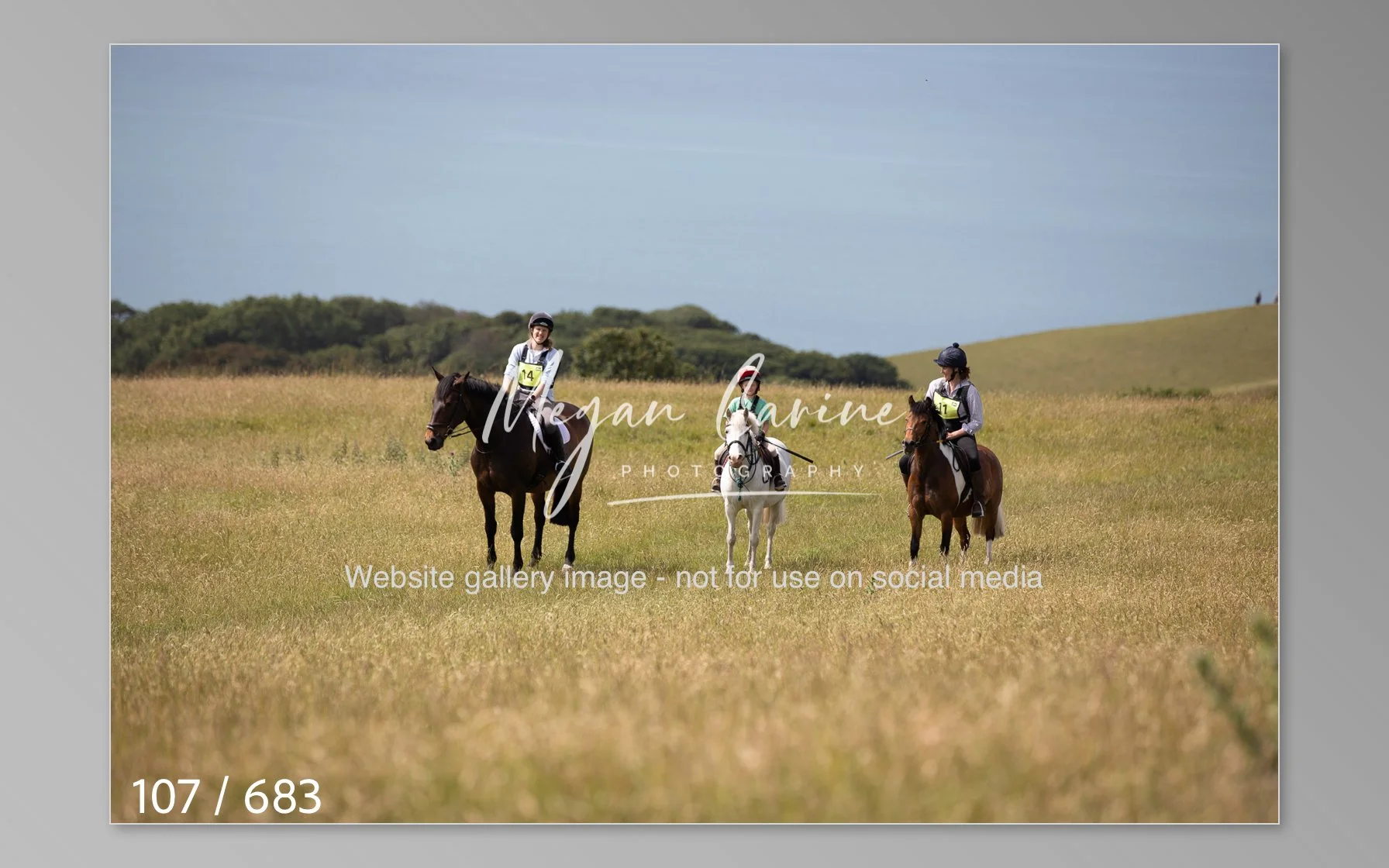 Abbotsbury-107.jpg