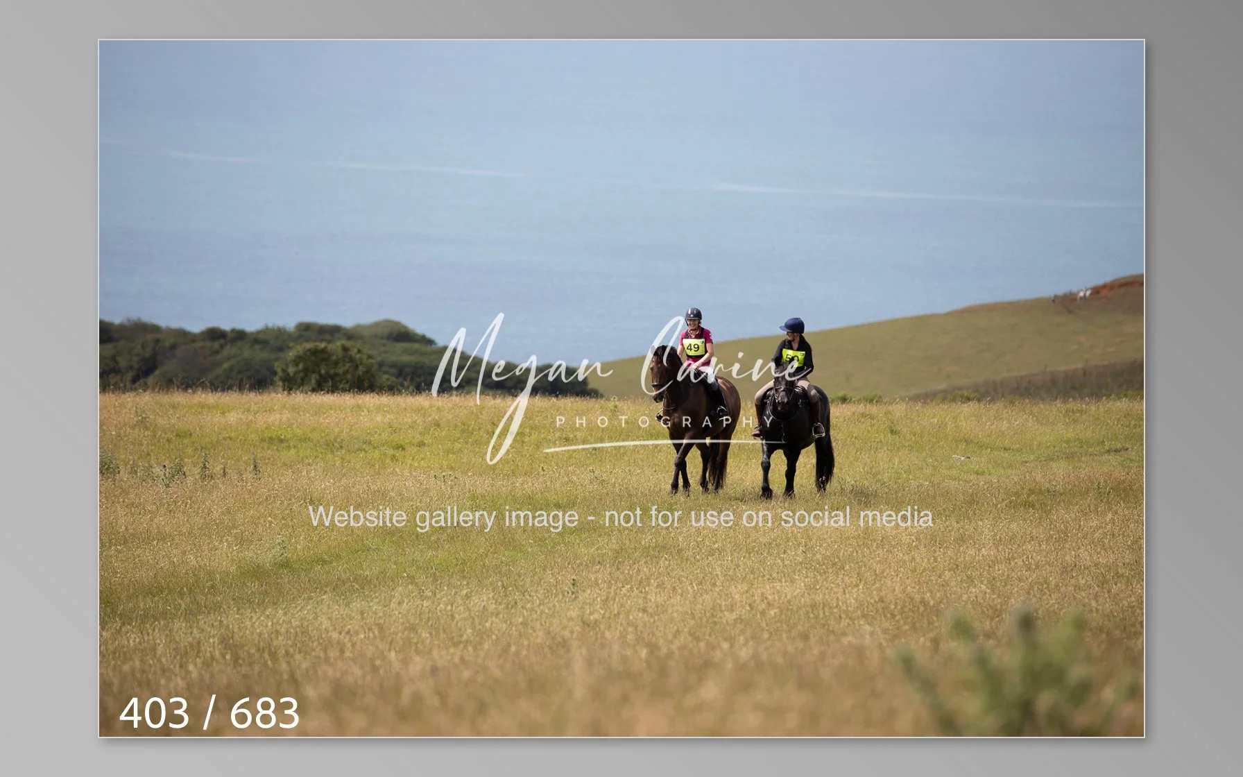 Abbotsbury-403.jpg