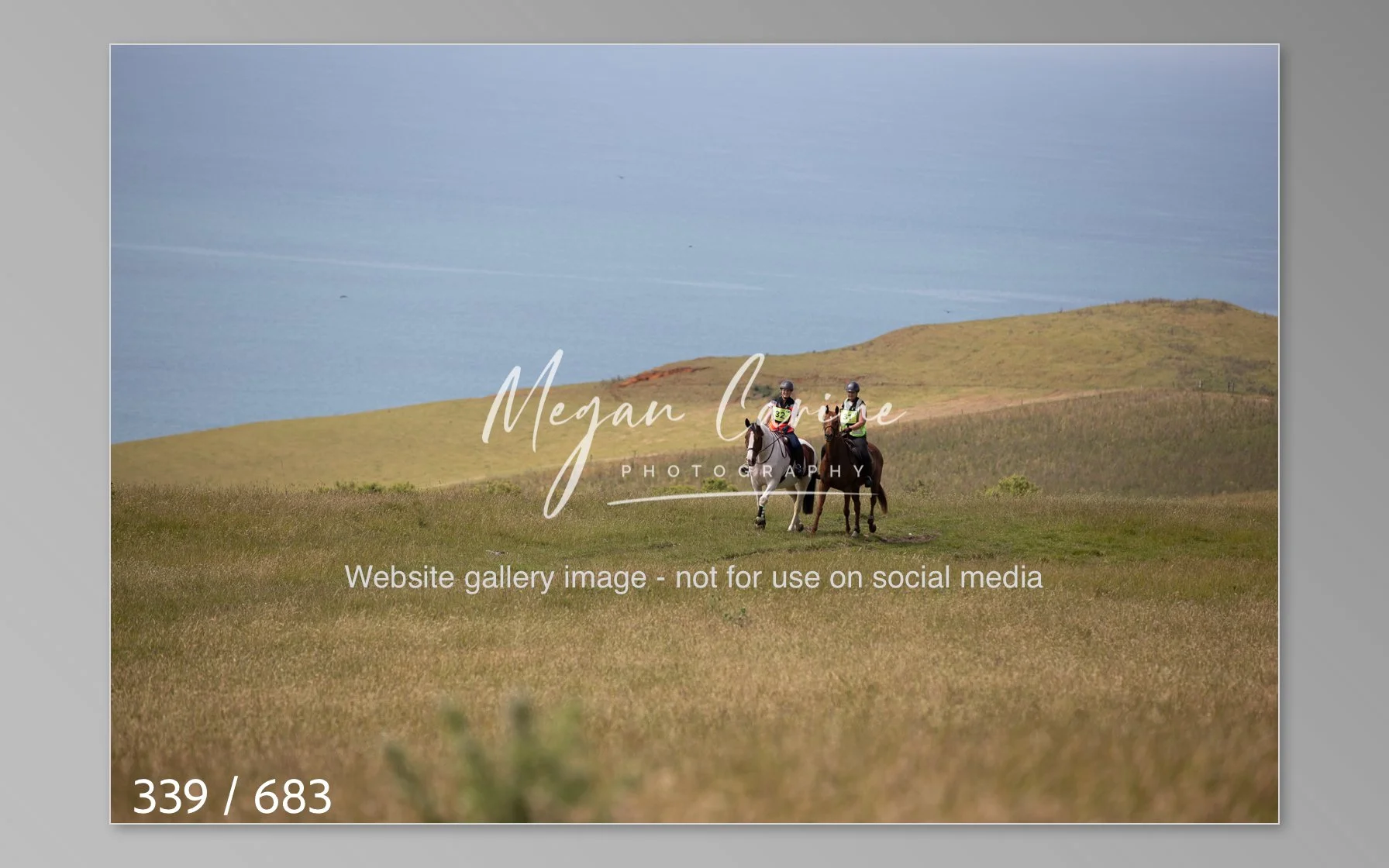 Abbotsbury-339.jpg