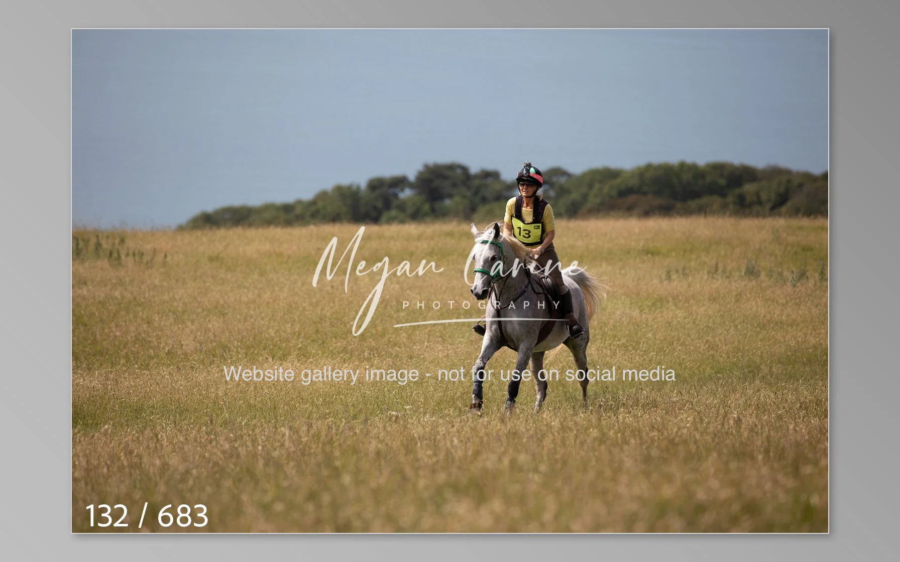 Abbotsbury-132.jpg