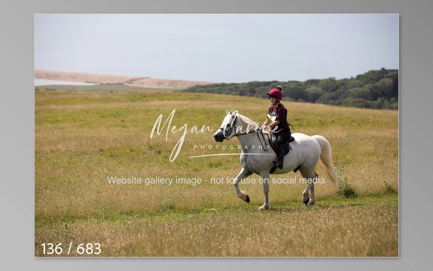 Abbotsbury-136.jpg