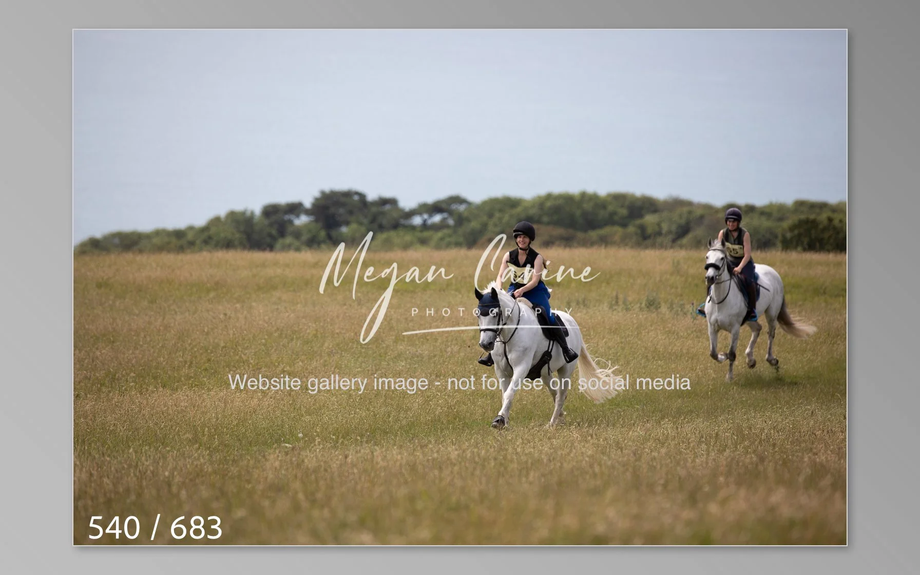 Abbotsbury-540.jpg