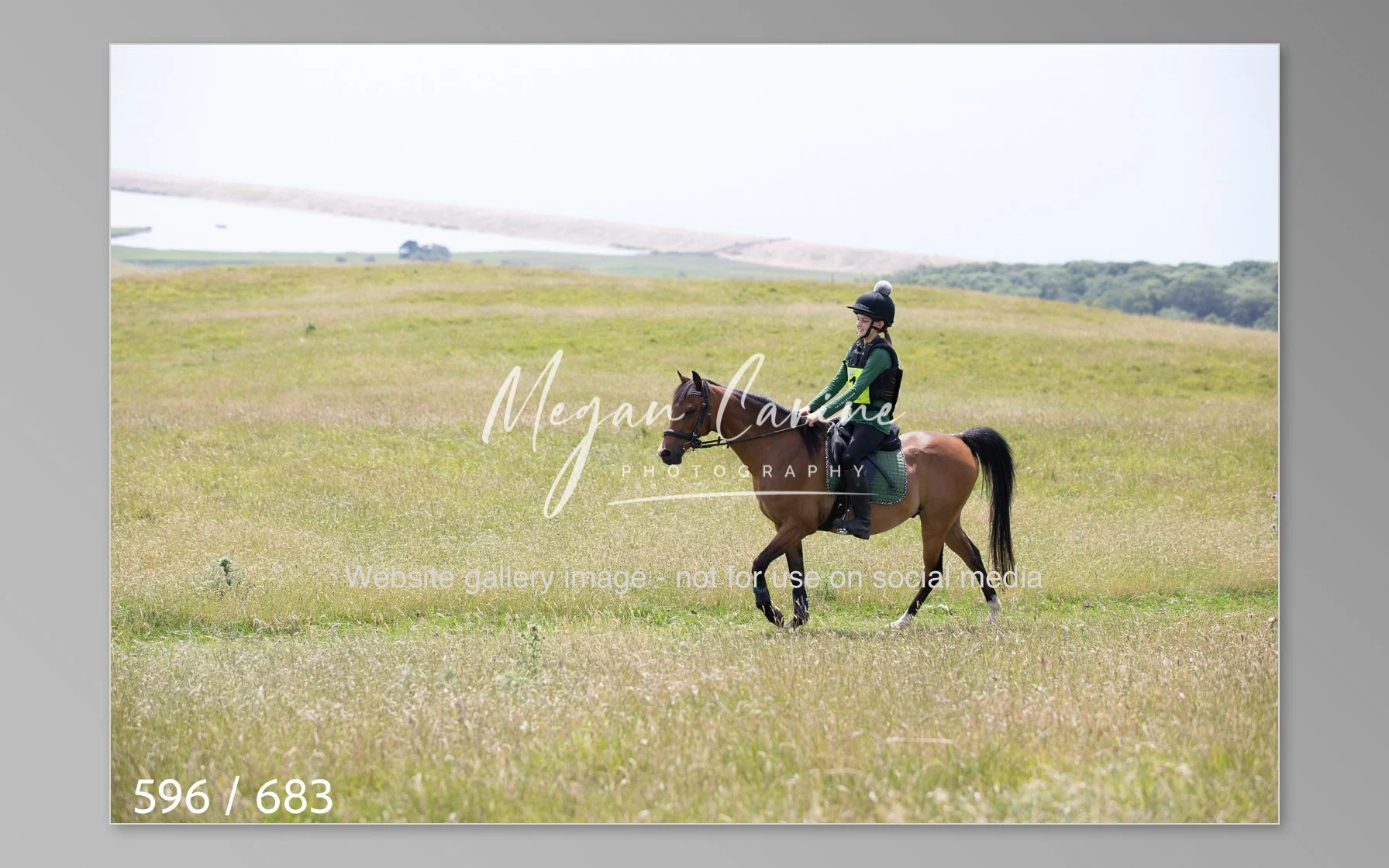 Abbotsbury-596.jpg