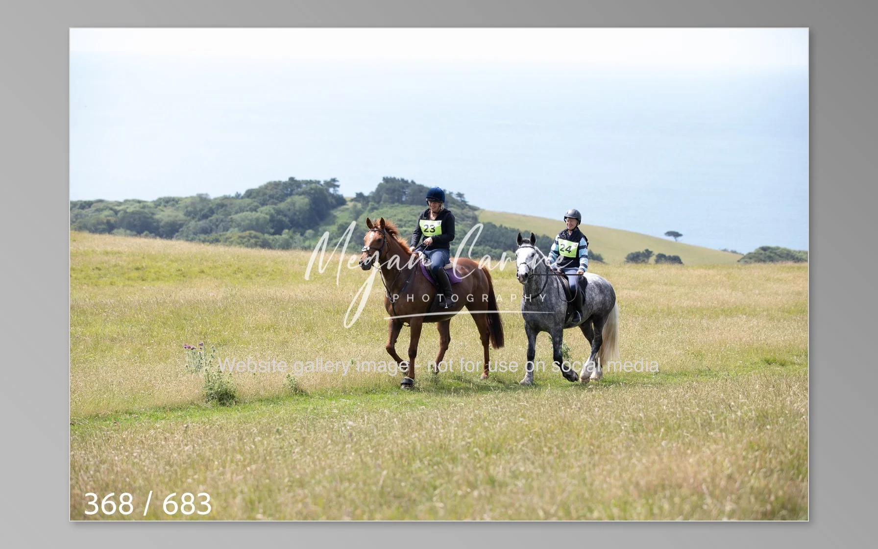 Abbotsbury-368.jpg