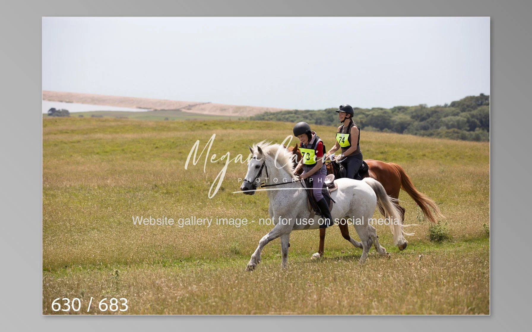 Abbotsbury-630.jpg