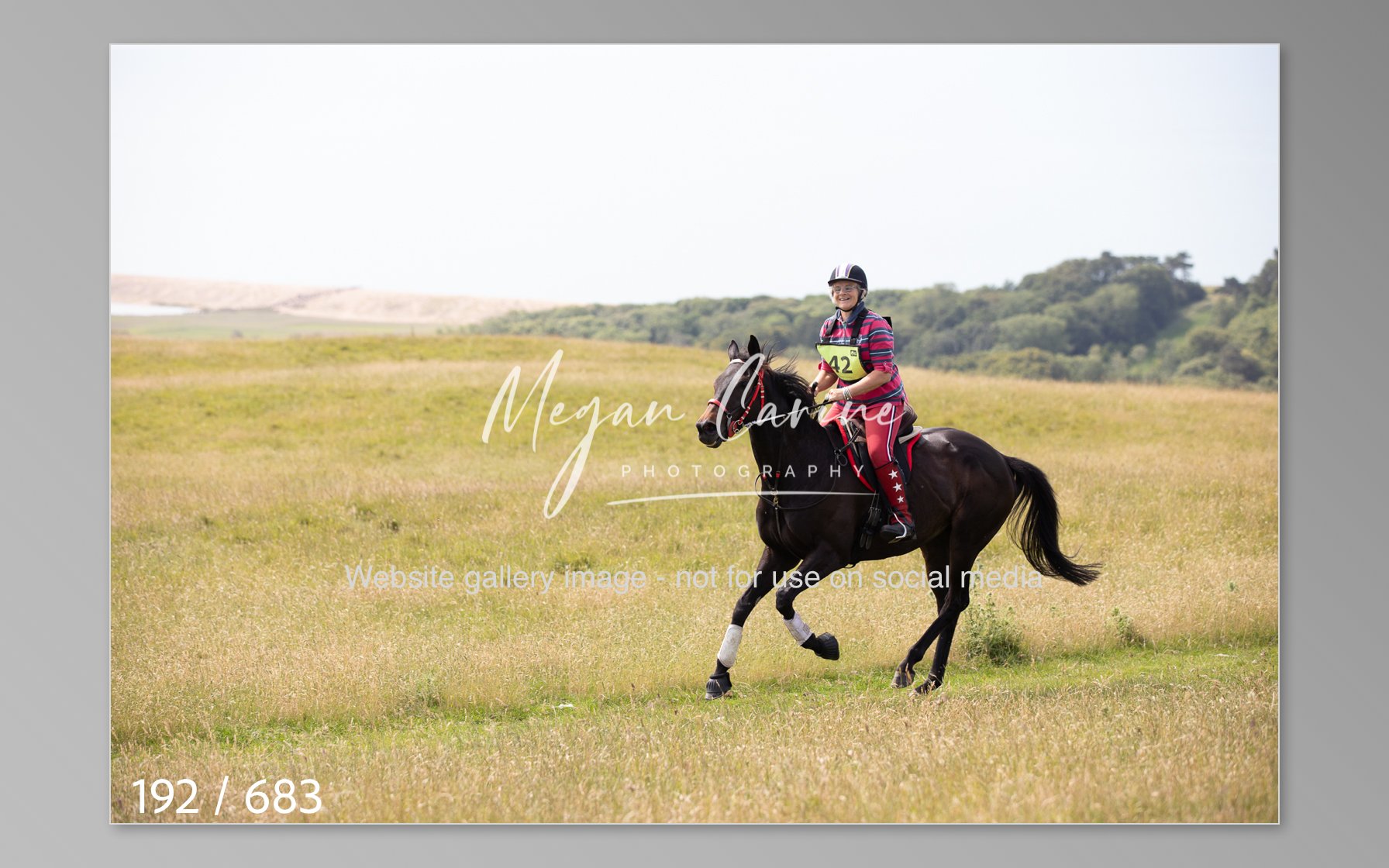 Abbotsbury-192.jpg