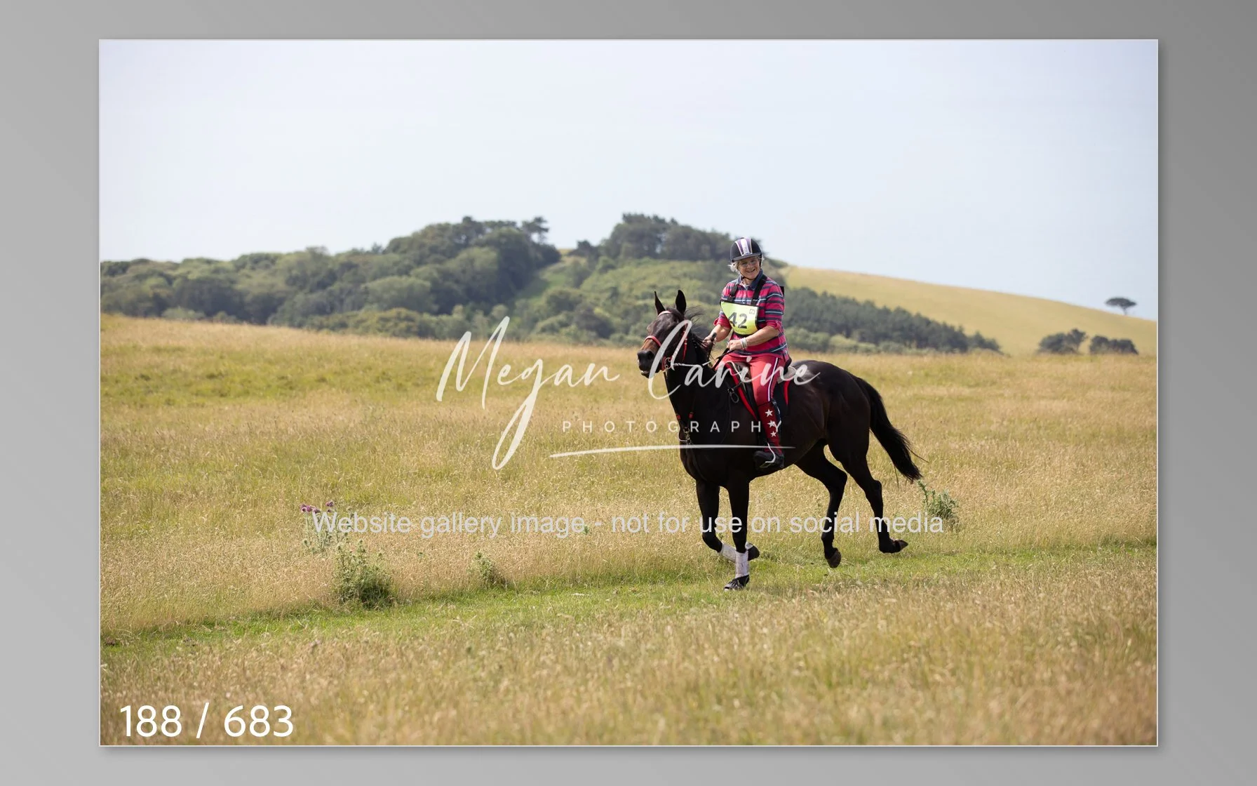 Abbotsbury-188.jpg