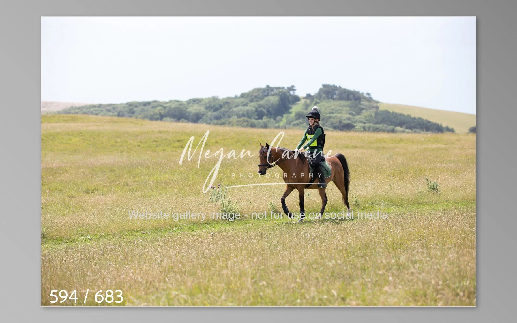 Abbotsbury-594.jpg