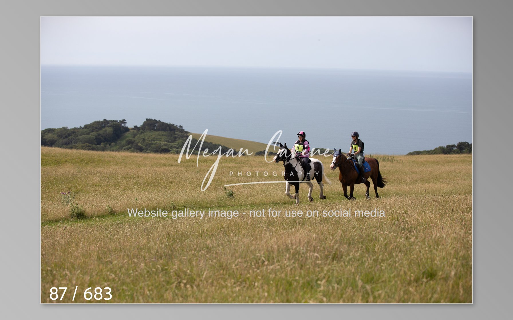 Abbotsbury-087.jpg