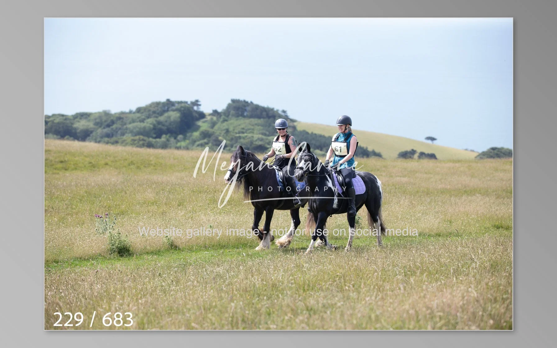 Abbotsbury-229.jpg