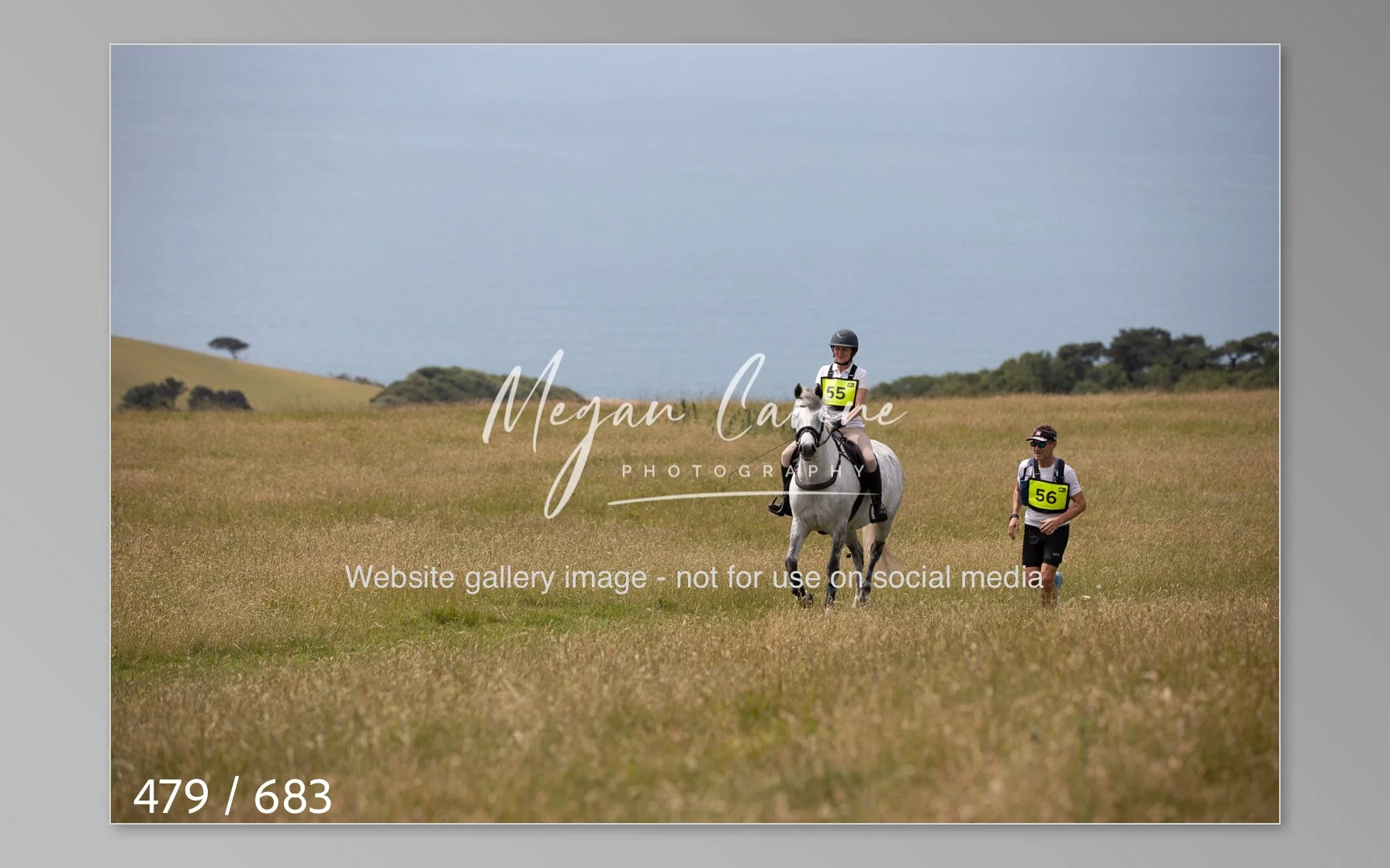 Abbotsbury-479.jpg