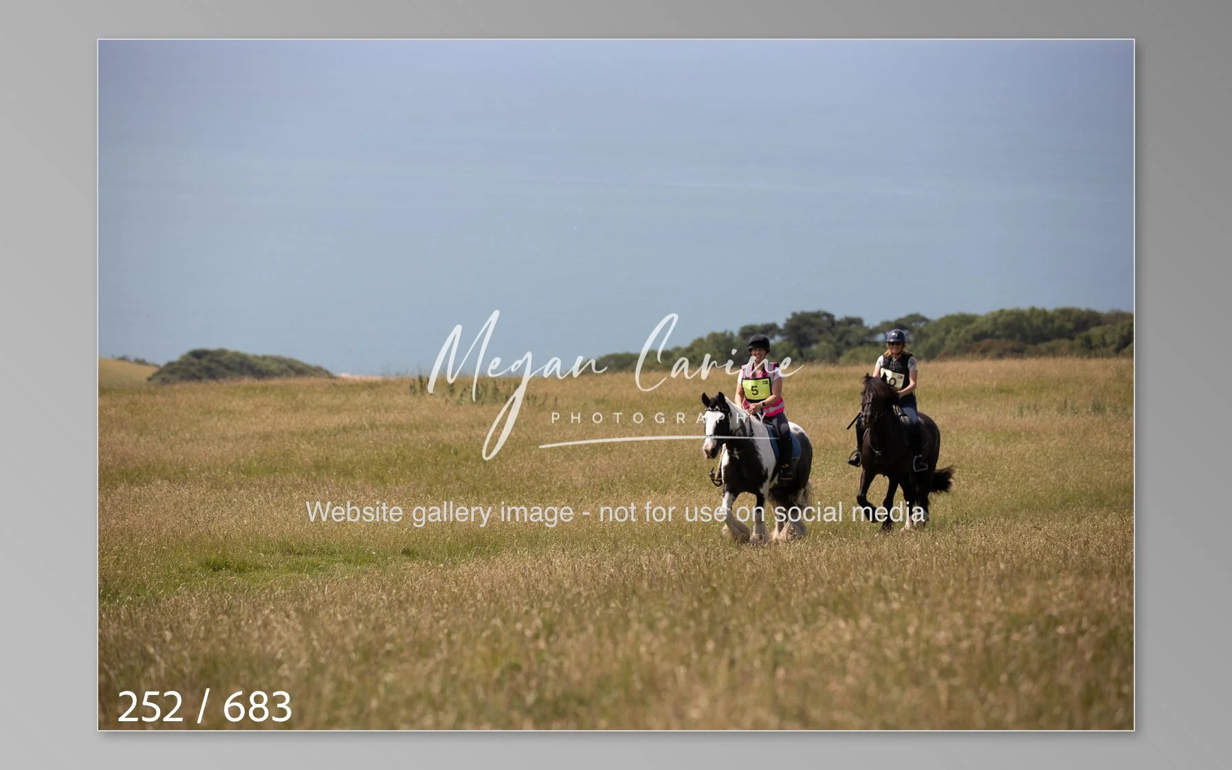 Abbotsbury-252.jpg