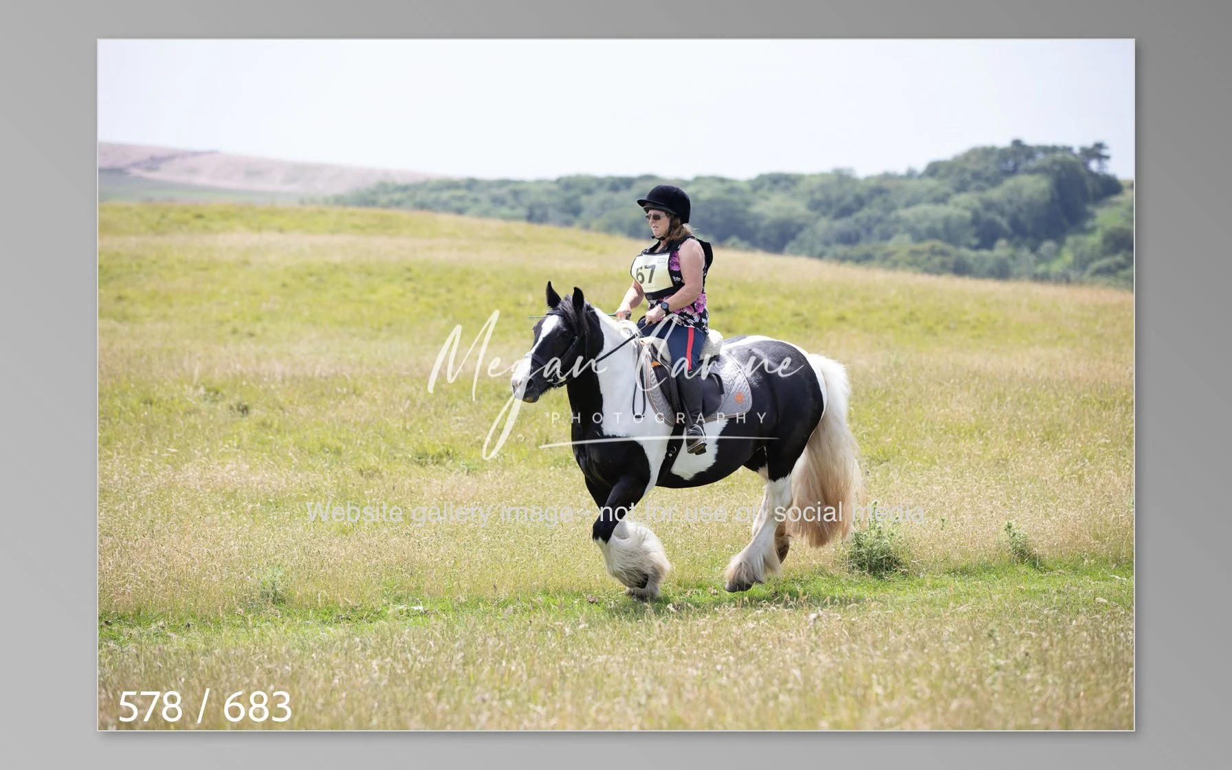 Abbotsbury-578.jpg