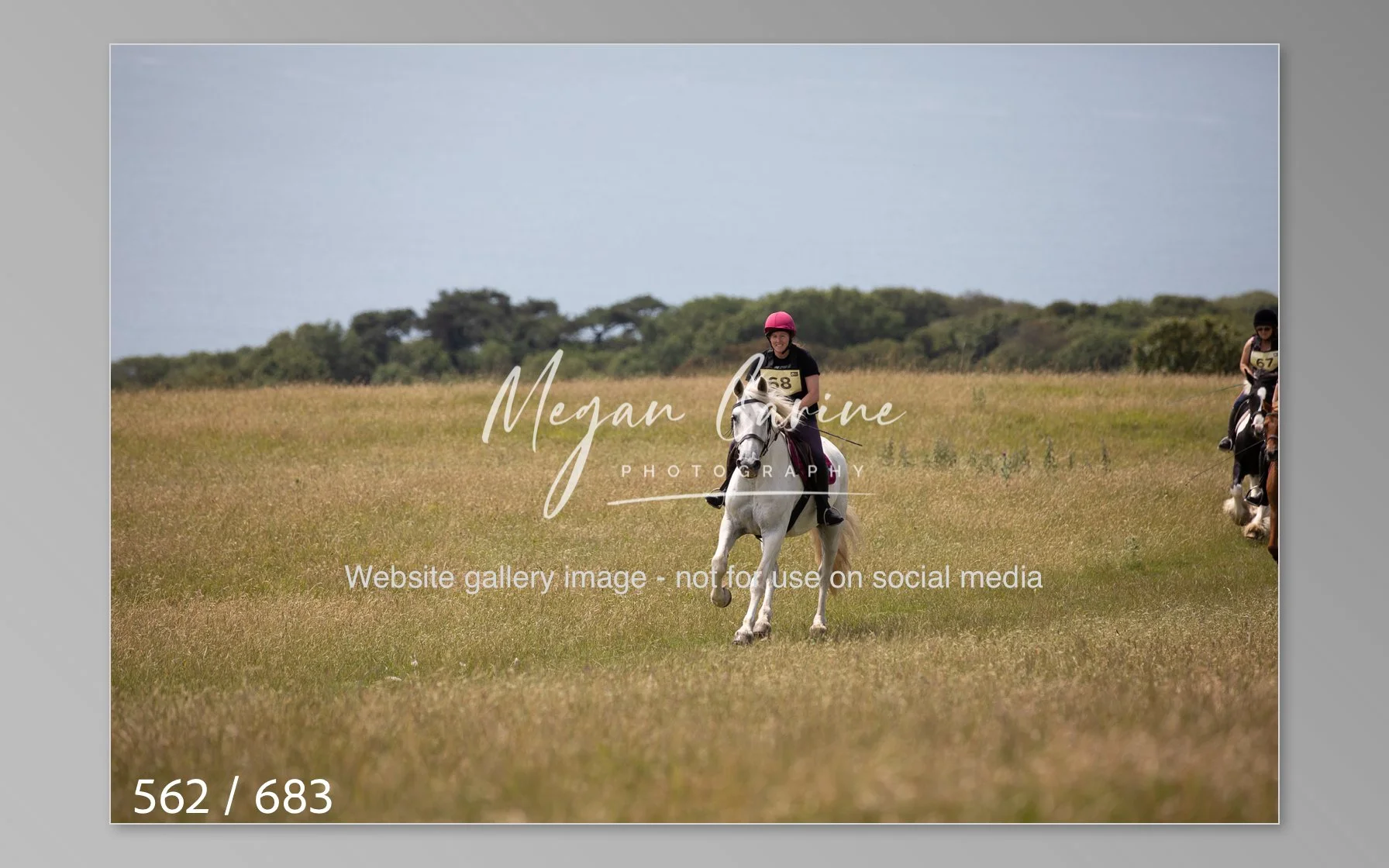 Abbotsbury-562.jpg