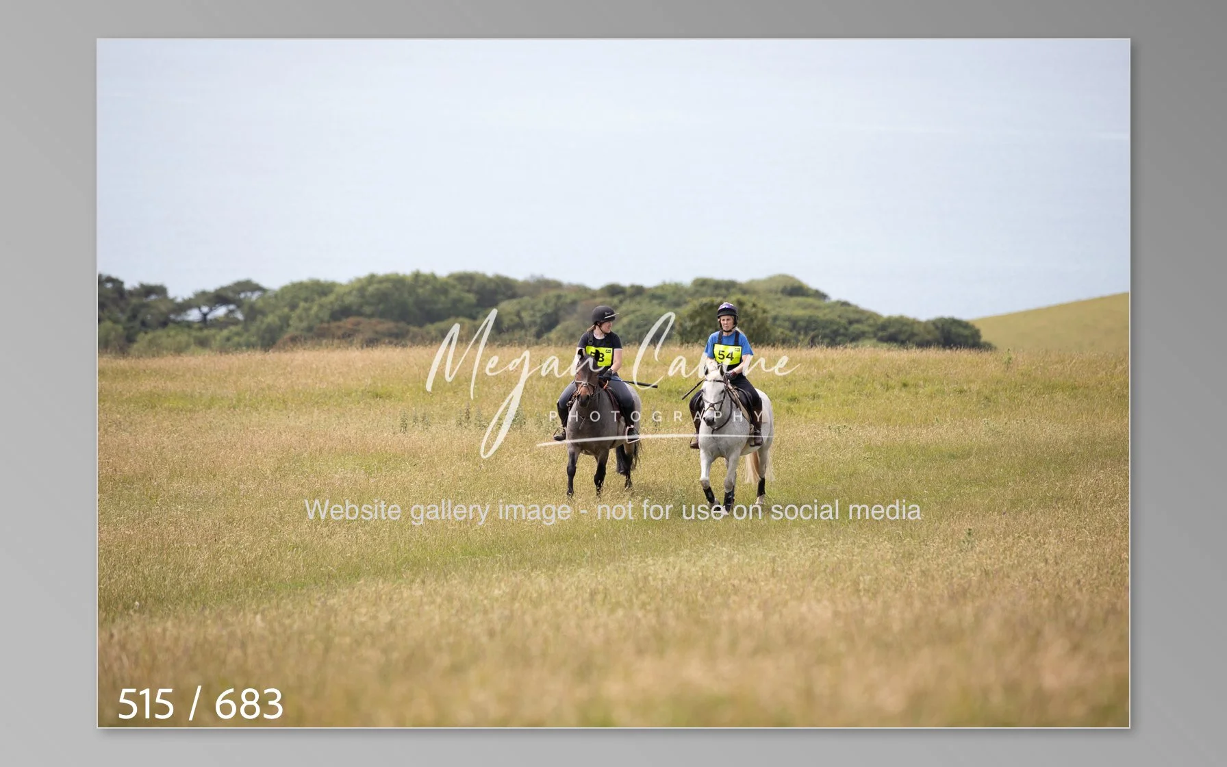 Abbotsbury-515.jpg