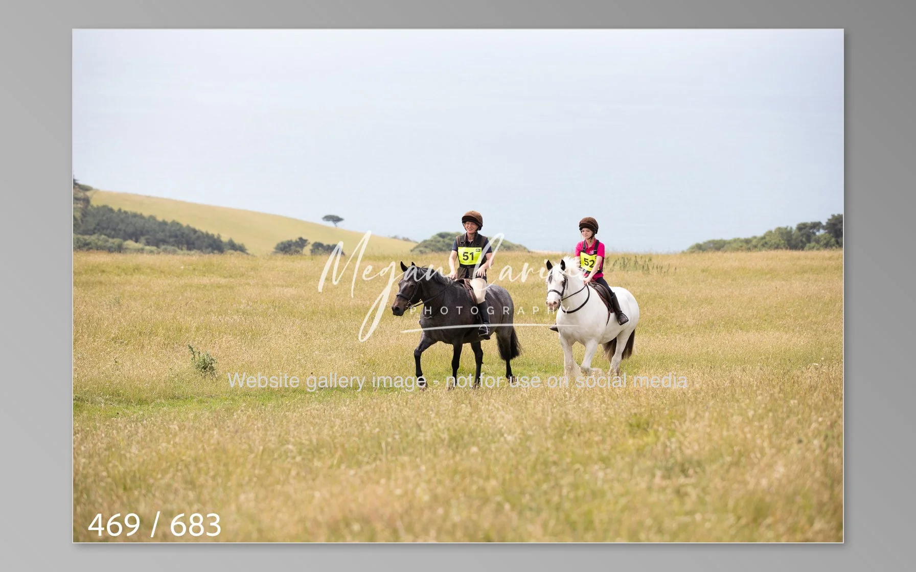Abbotsbury-469.jpg