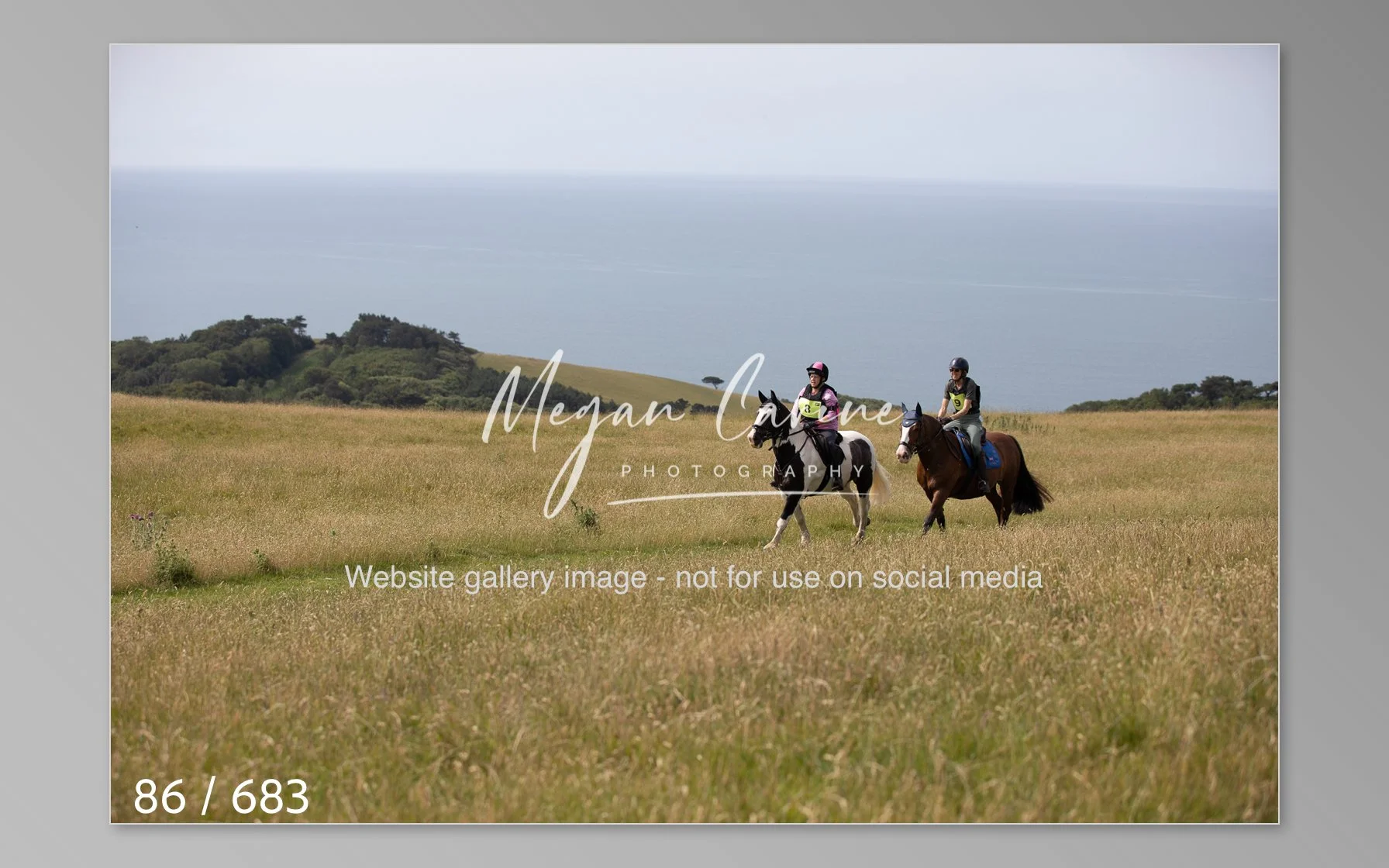 Abbotsbury-086.jpg