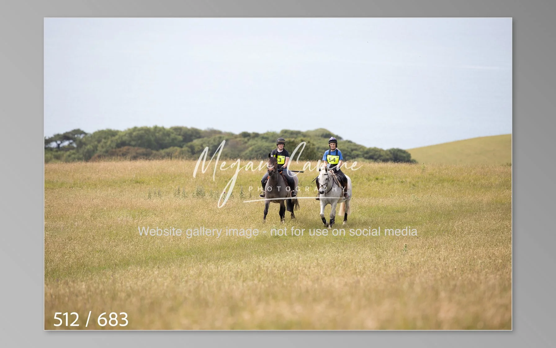 Abbotsbury-512.jpg