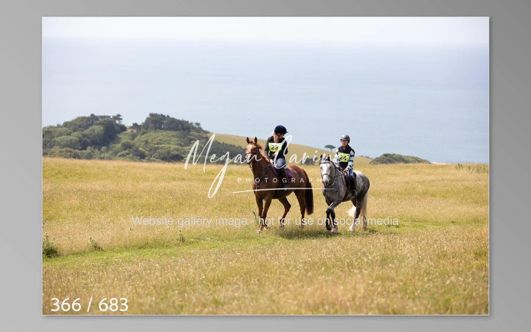 Abbotsbury-366.jpg