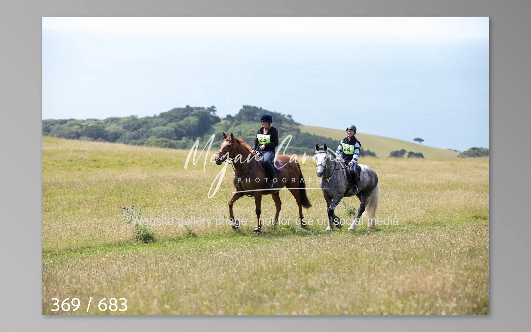Abbotsbury-369.jpg