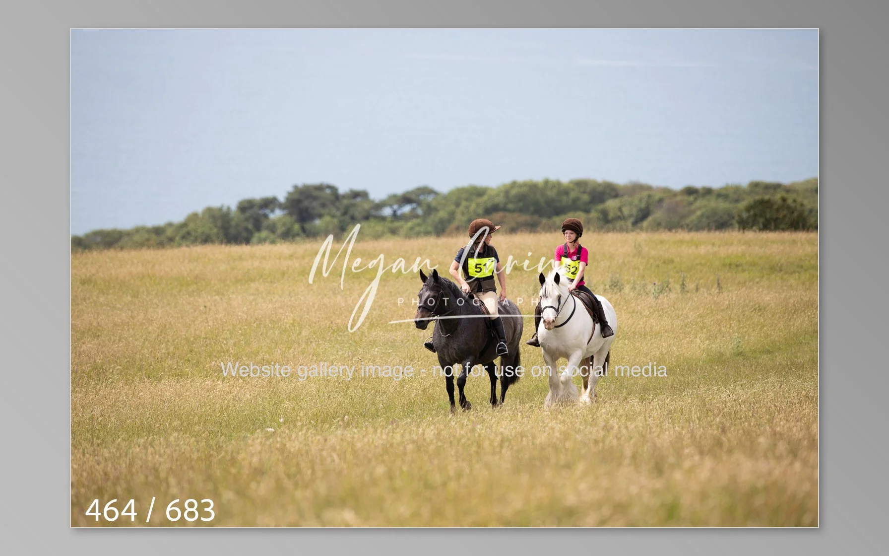 Abbotsbury-464.jpg