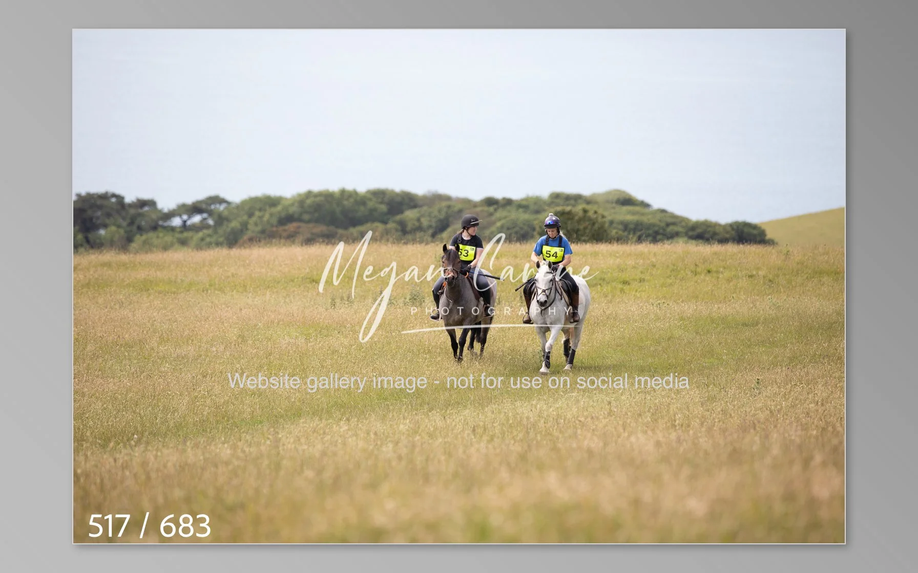 Abbotsbury-517.jpg