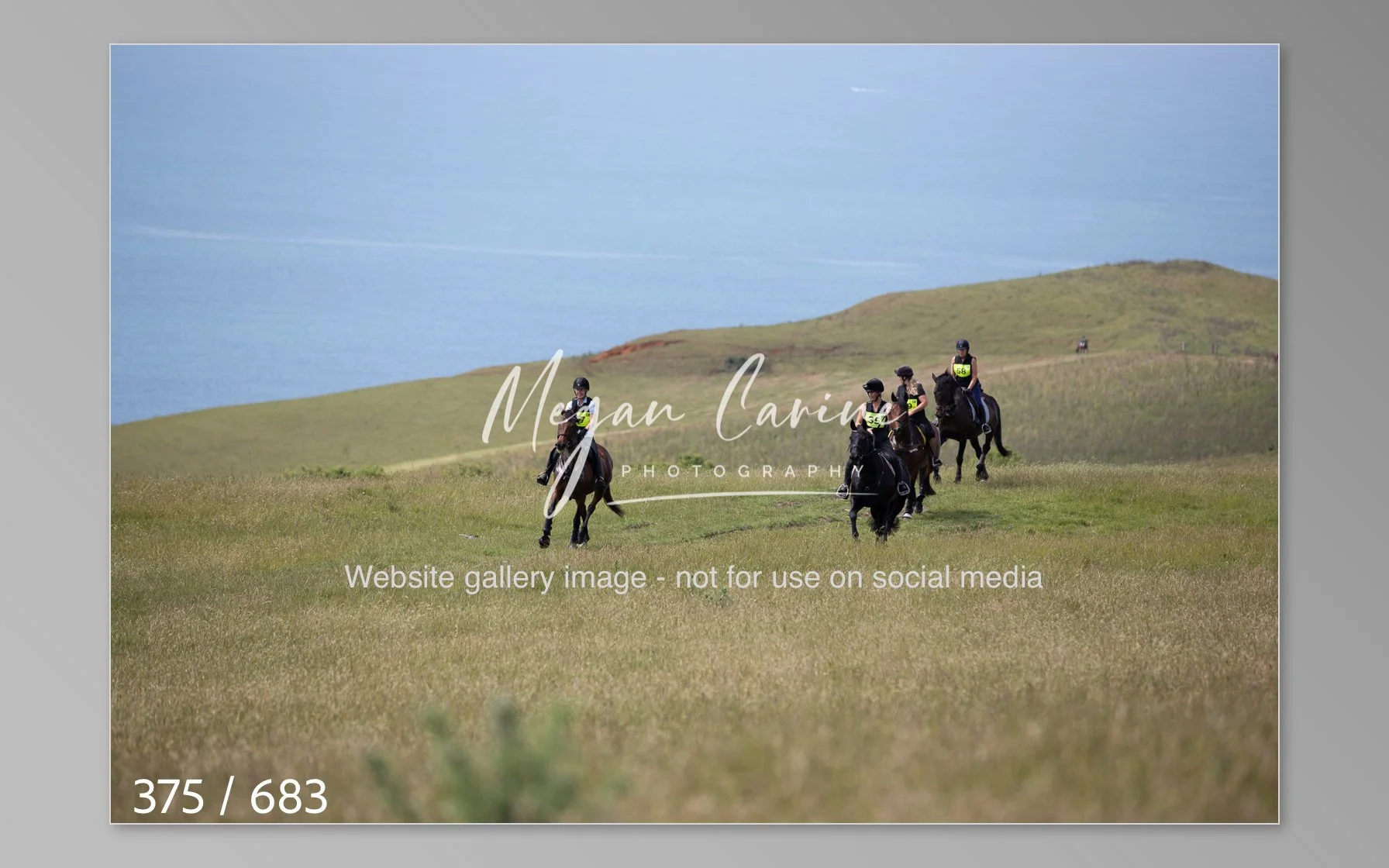 Abbotsbury-375.jpg