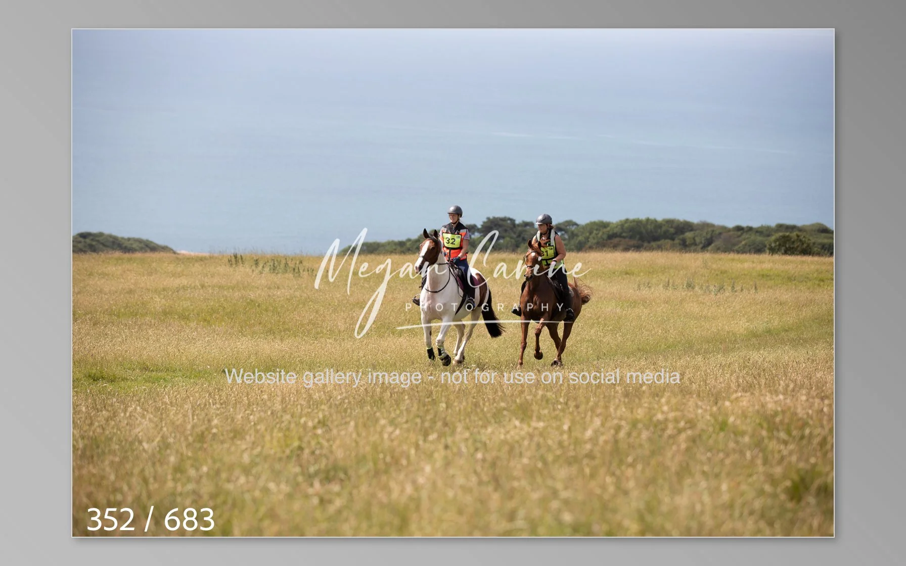 Abbotsbury-352.jpg