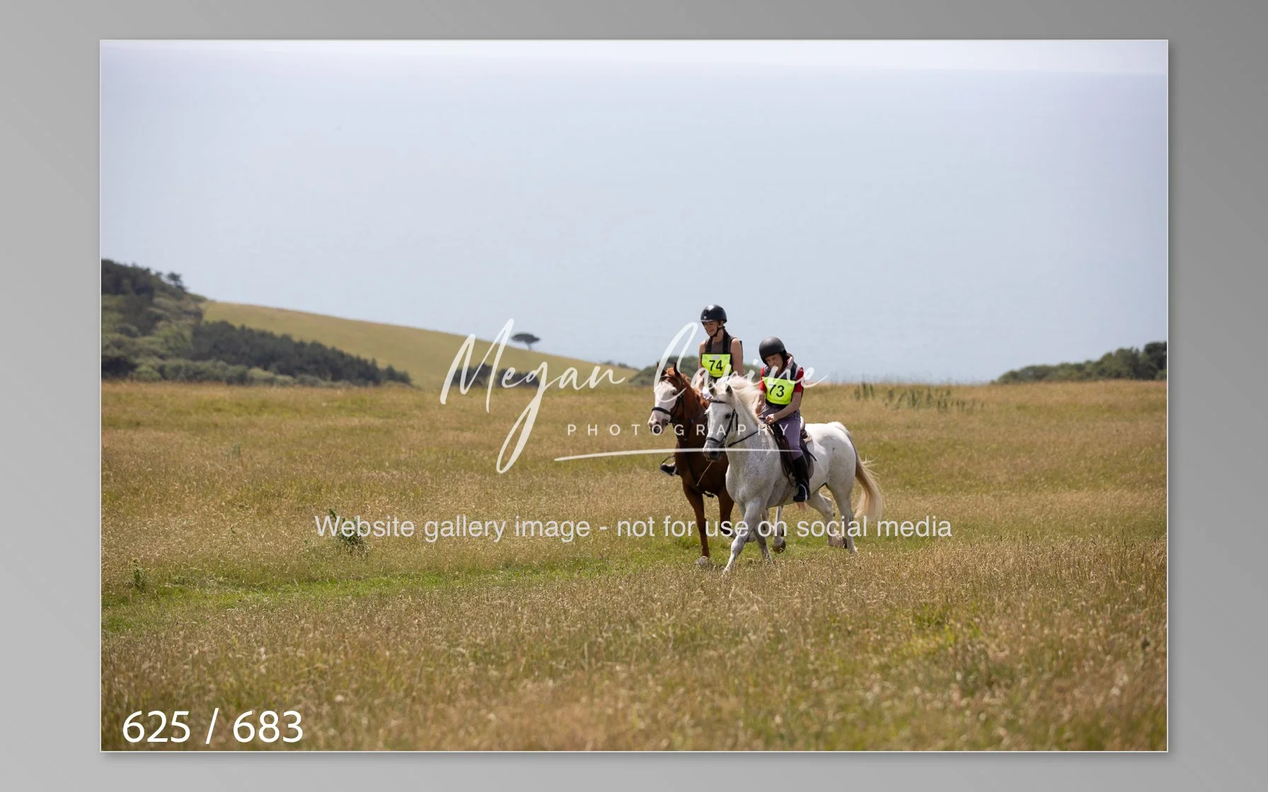 Abbotsbury-625.jpg