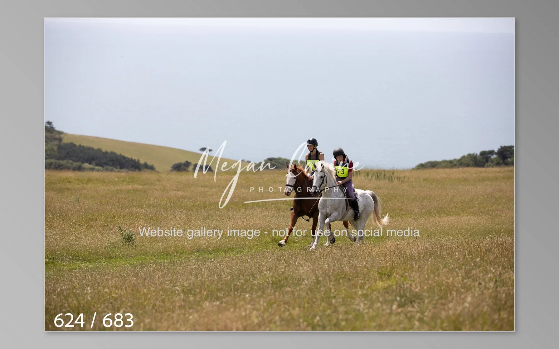 Abbotsbury-624.jpg