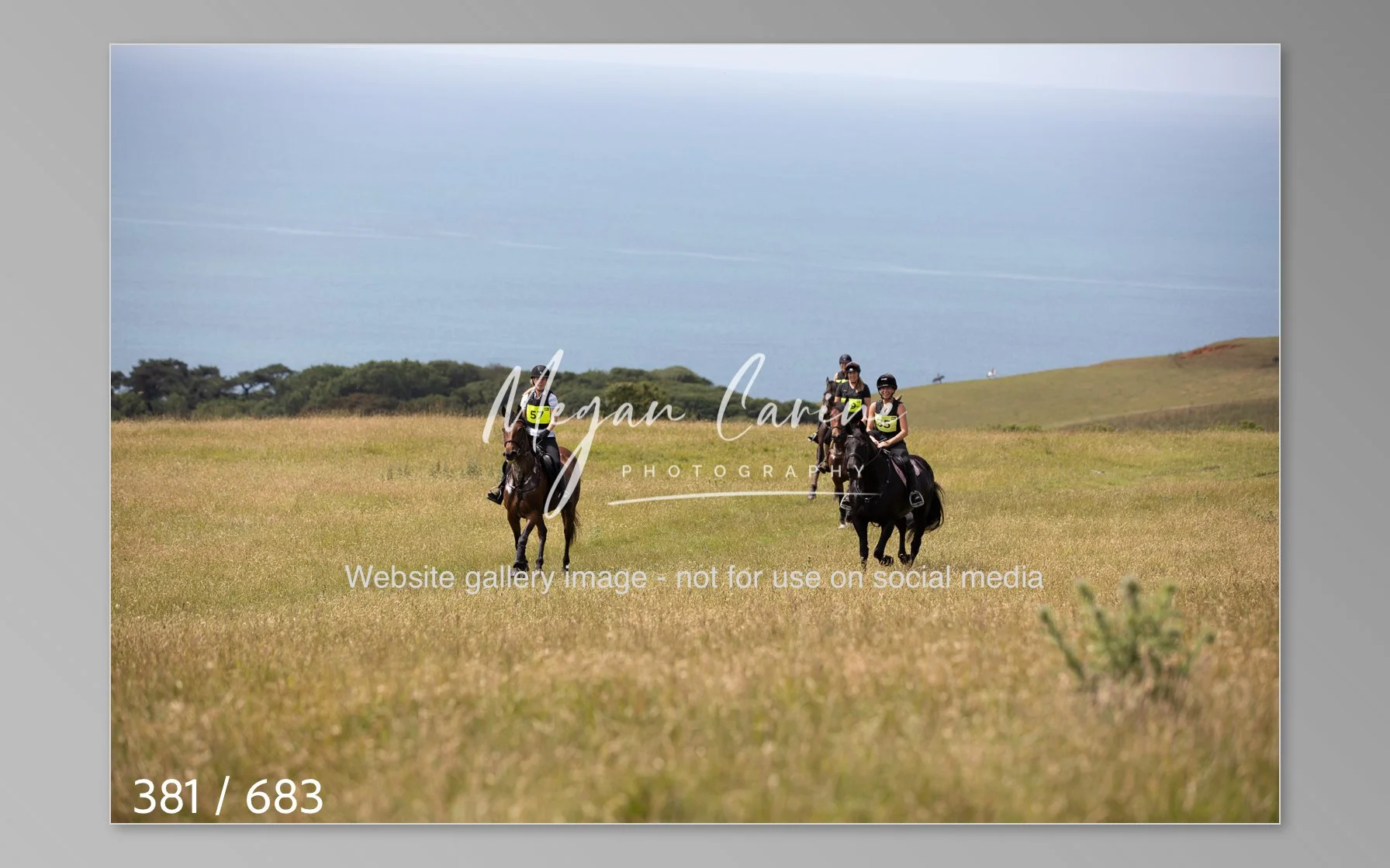 Abbotsbury-381.jpg