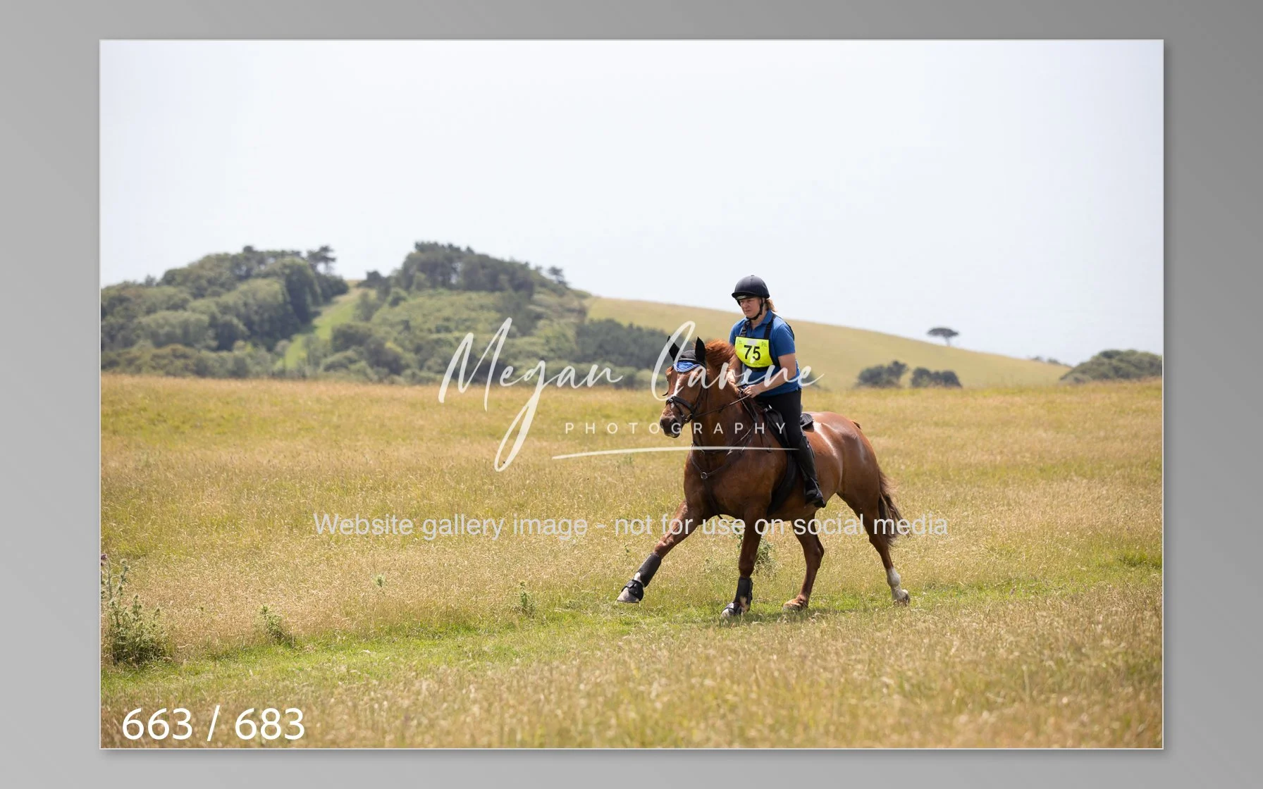 Abbotsbury-663.jpg