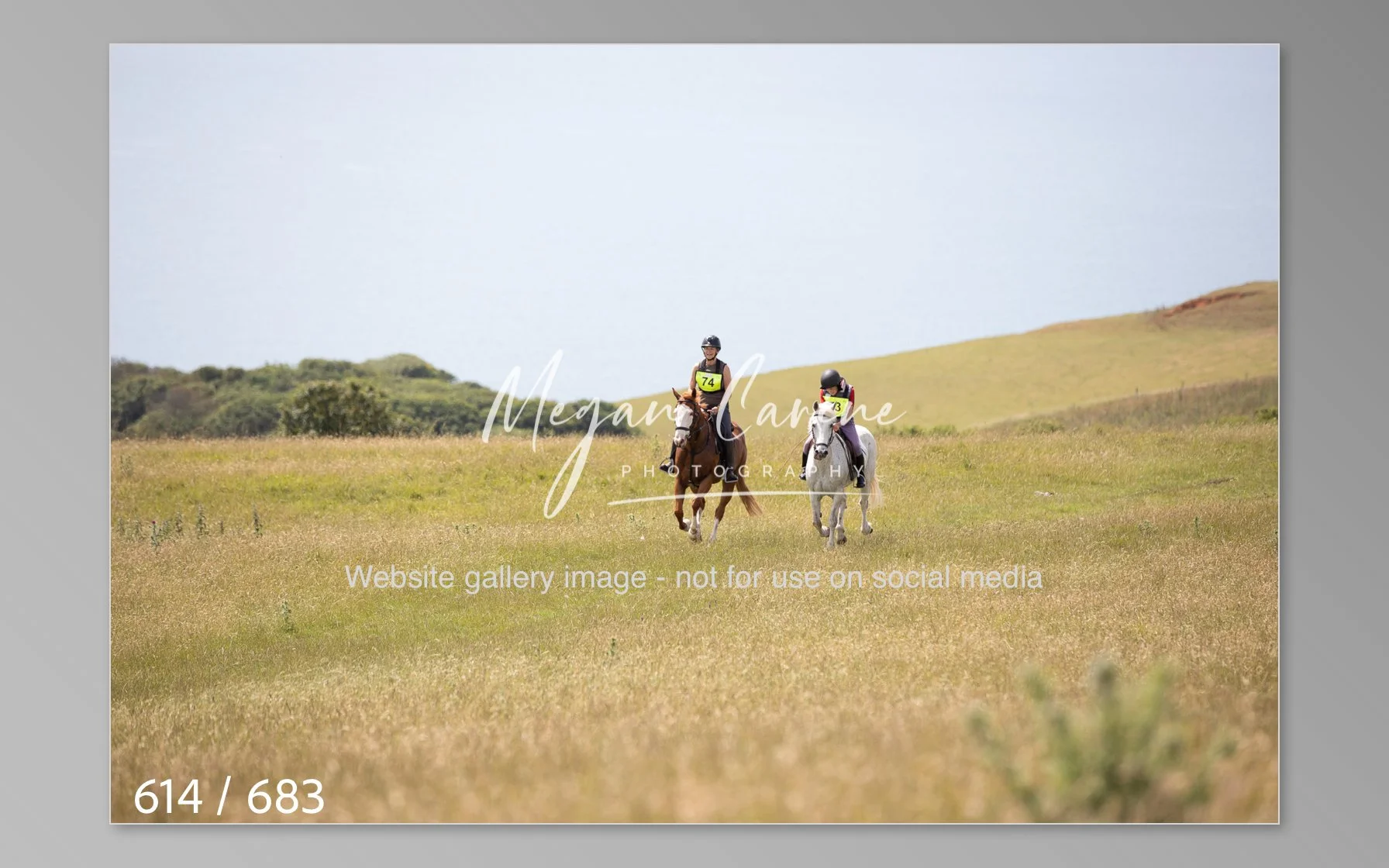 Abbotsbury-614.jpg