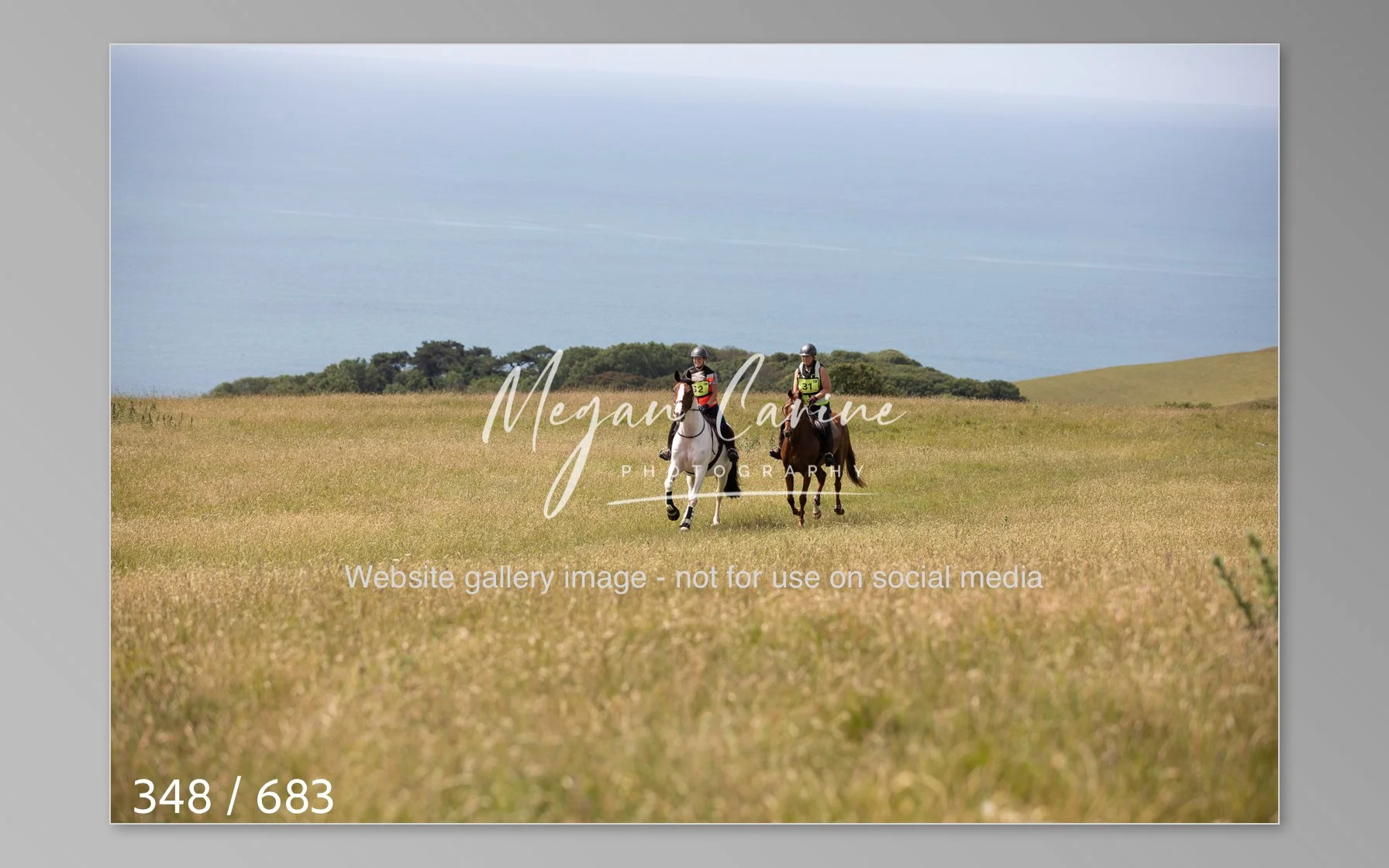 Abbotsbury-348.jpg