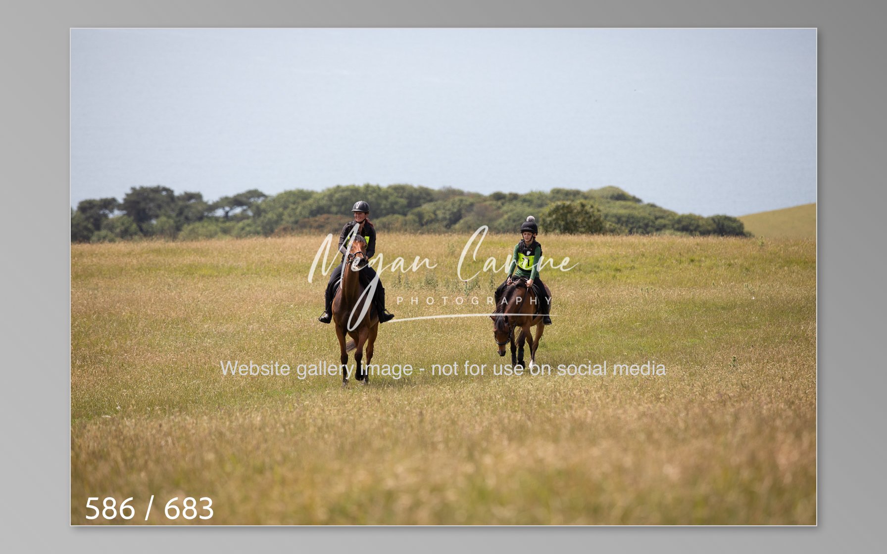 Abbotsbury-586.jpg
