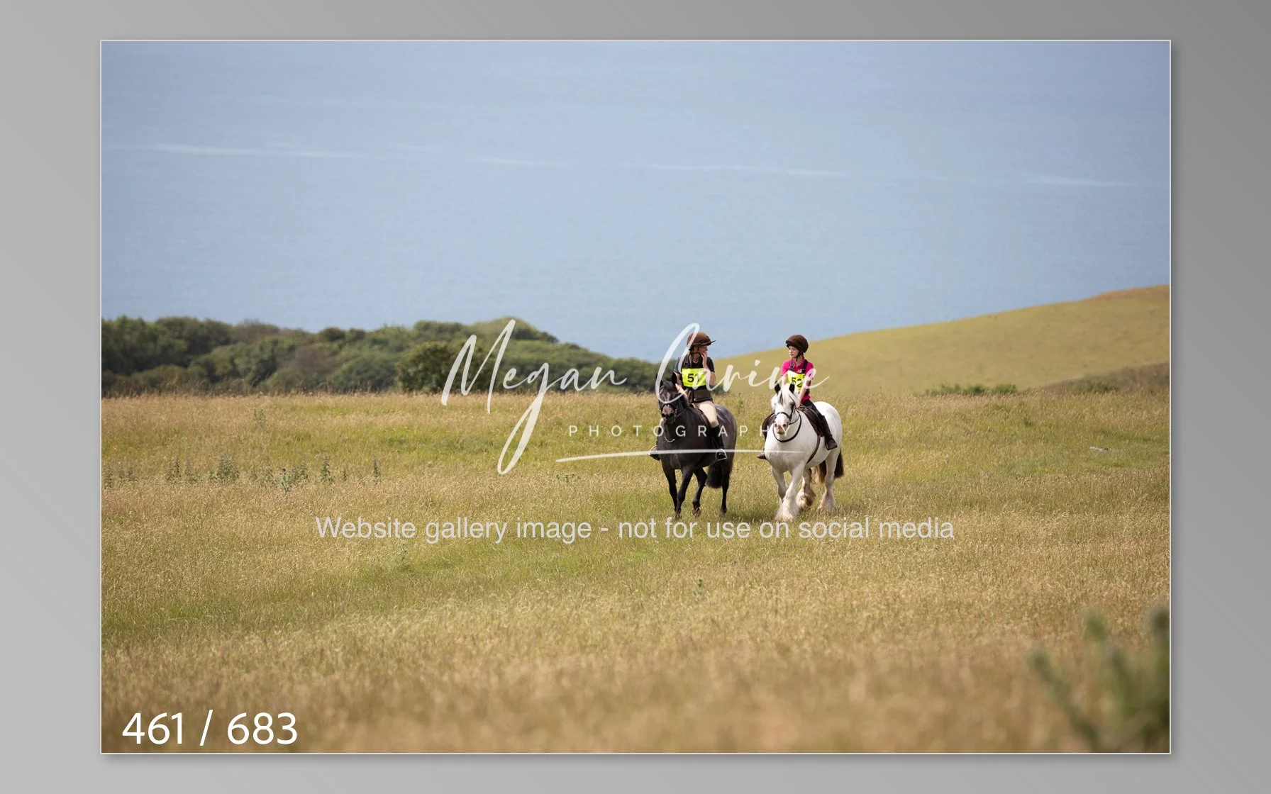 Abbotsbury-461.jpg