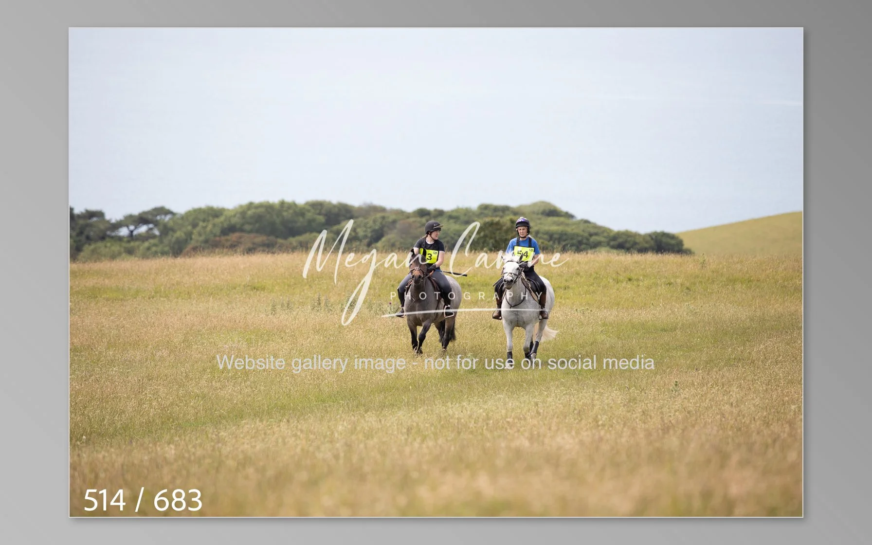 Abbotsbury-514.jpg