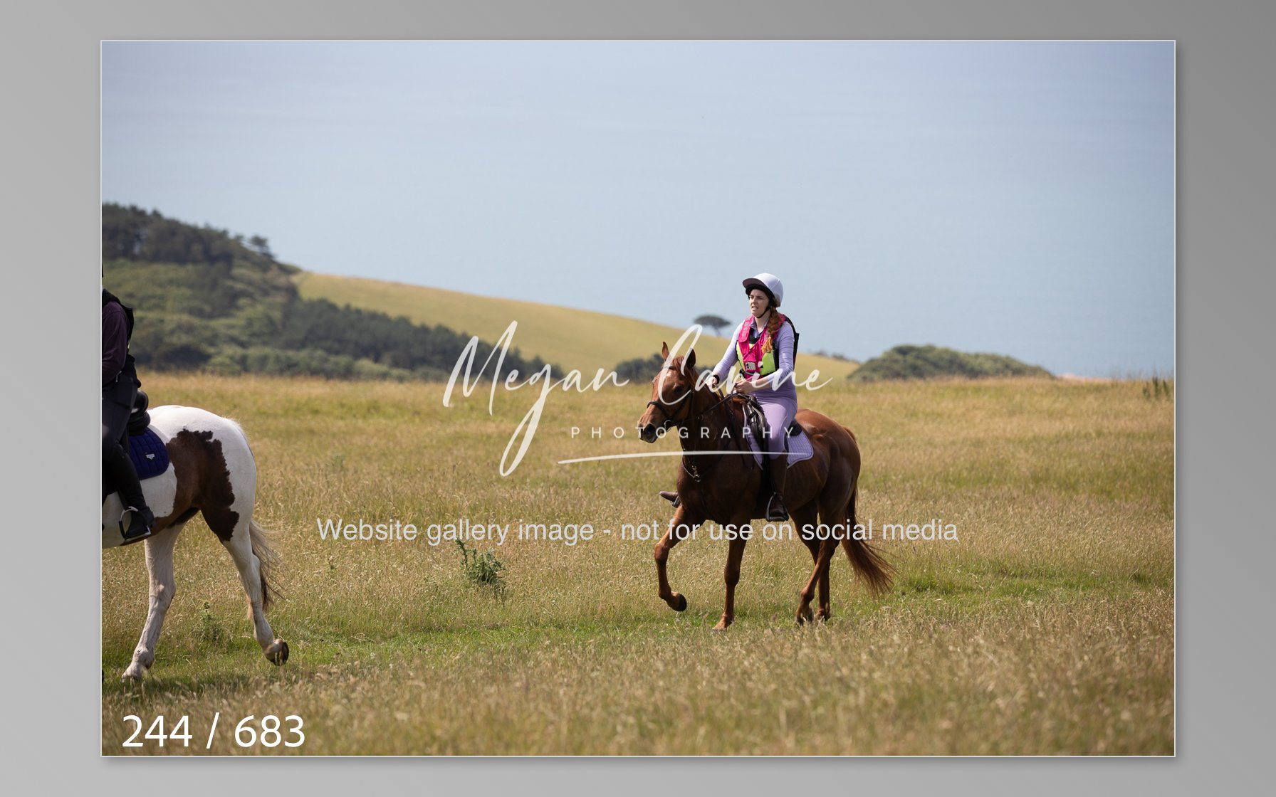 Abbotsbury-244.jpg