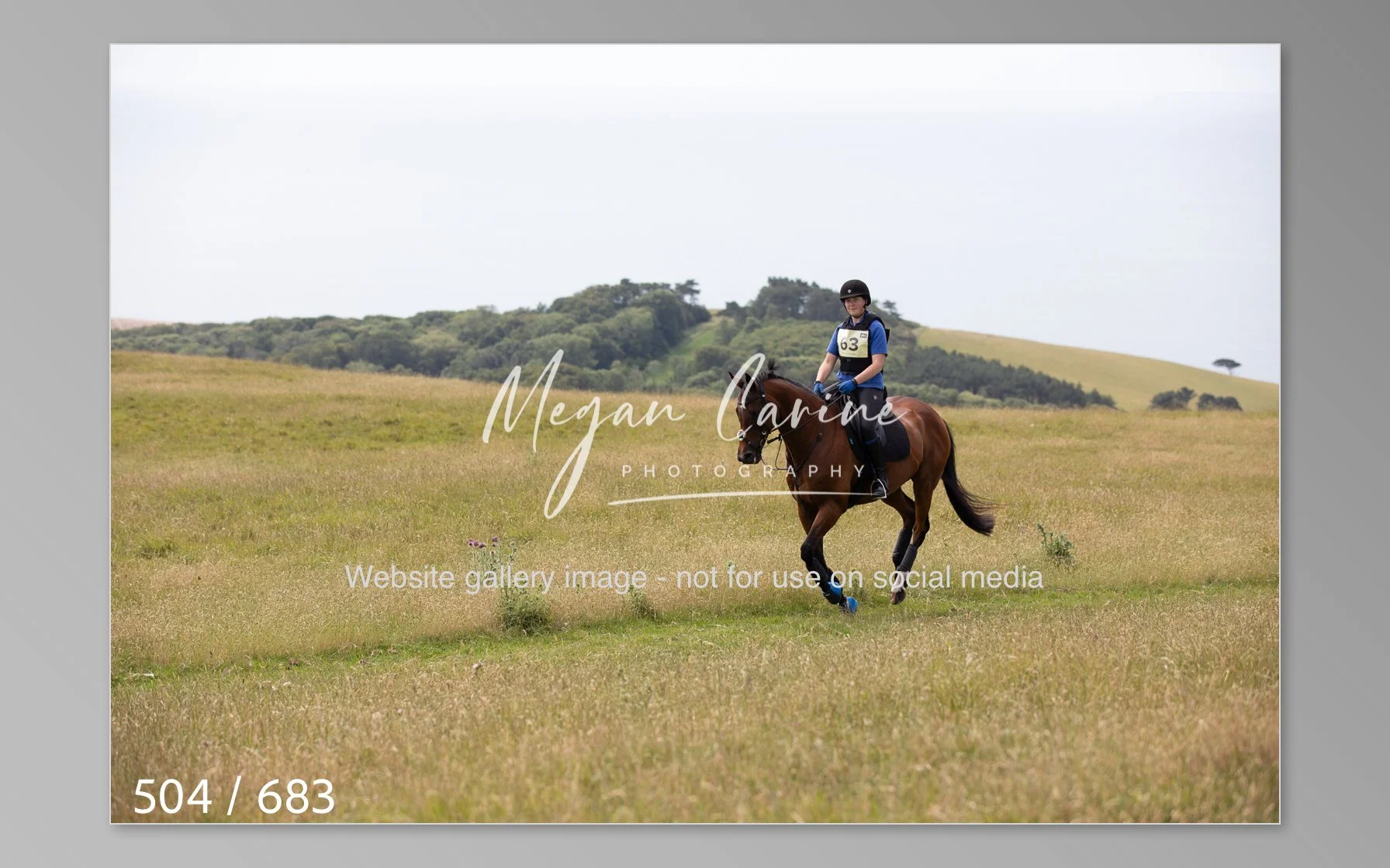 Abbotsbury-504.jpg