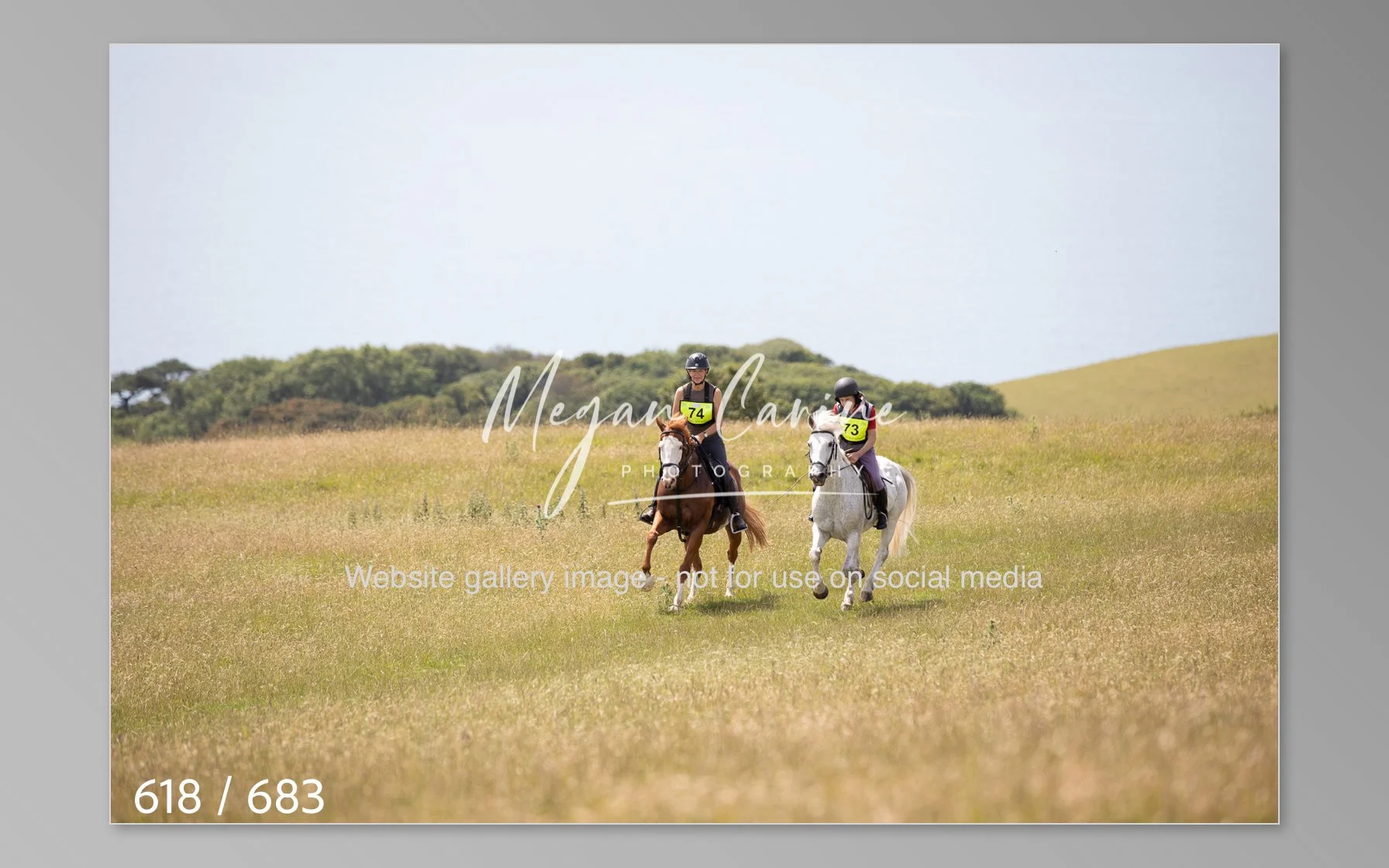 Abbotsbury-618.jpg
