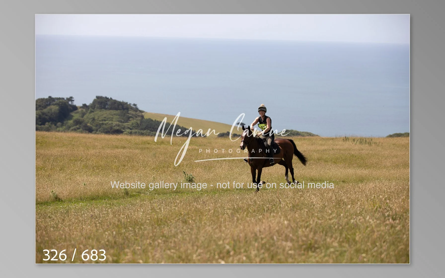 Abbotsbury-326.jpg