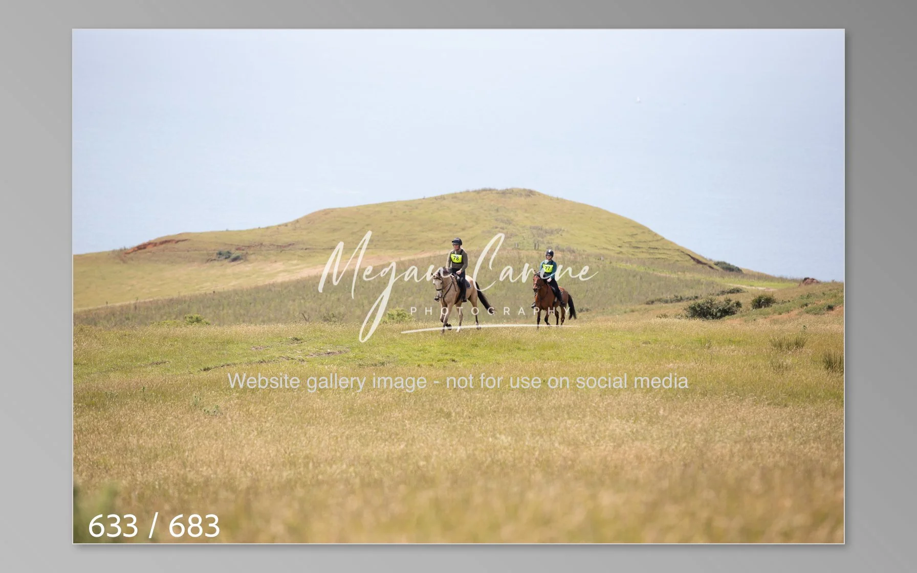 Abbotsbury-633.jpg