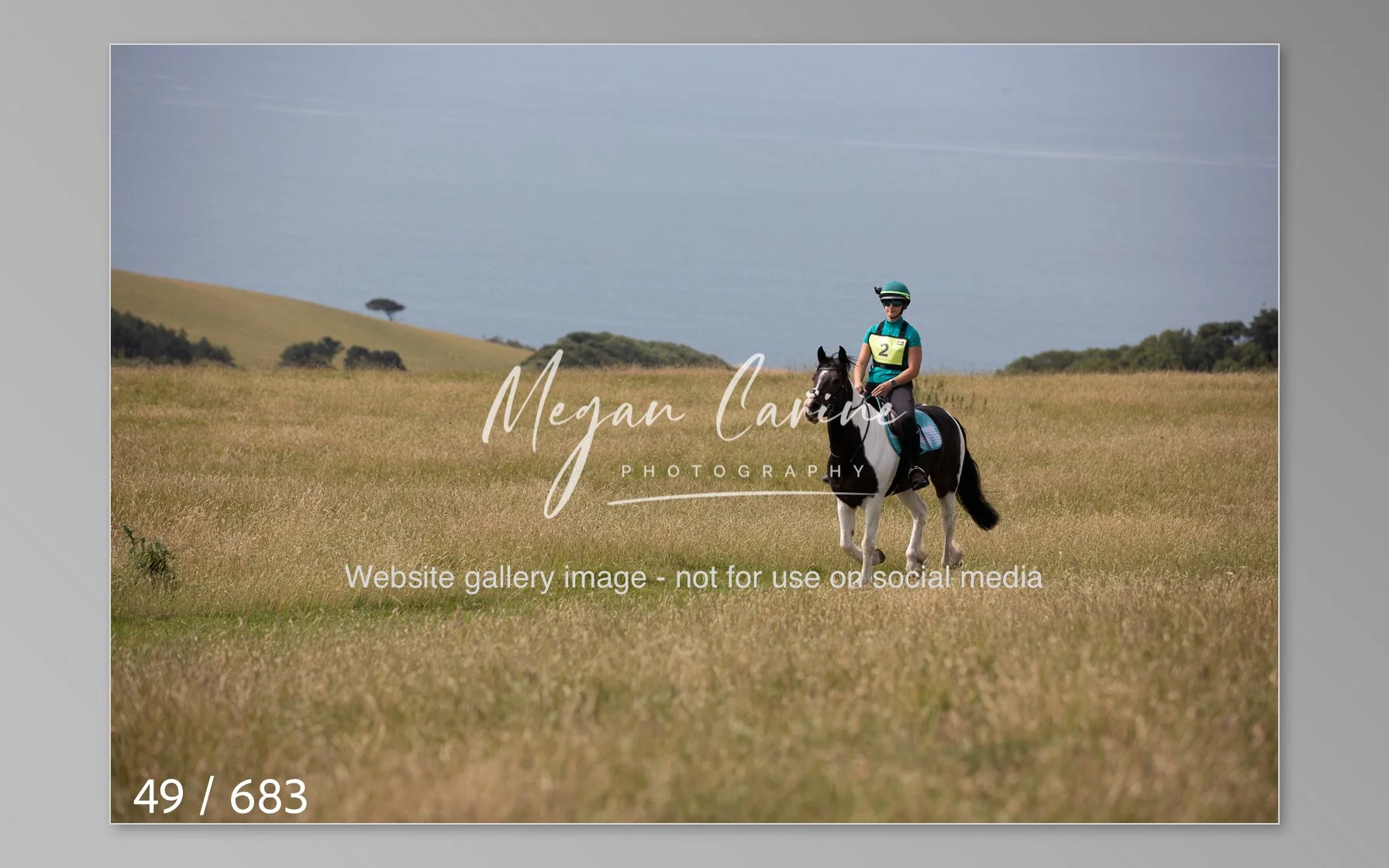 Abbotsbury-049.jpg
