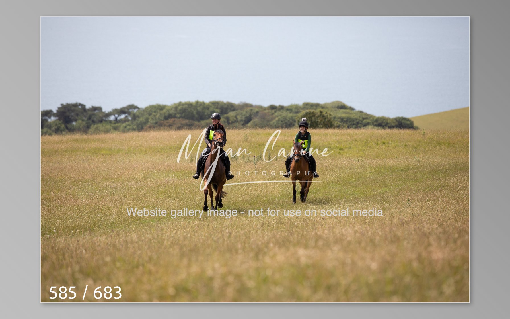 Abbotsbury-585.jpg
