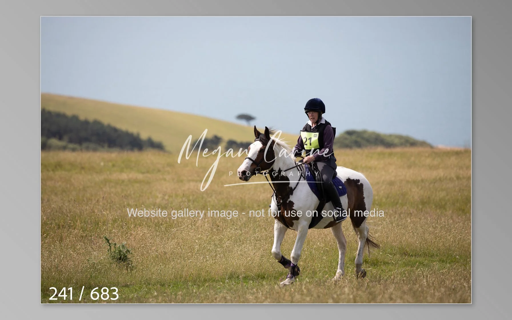 Abbotsbury-241.jpg